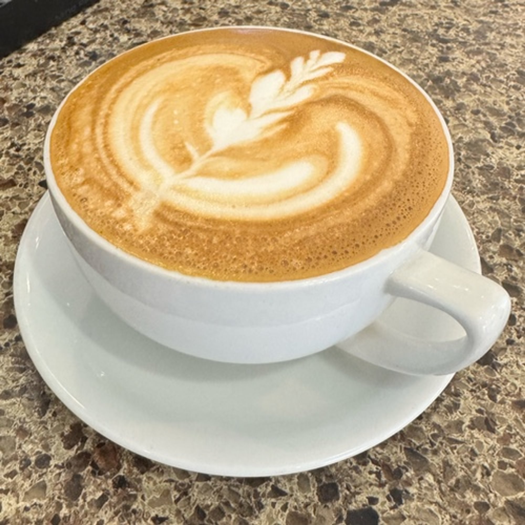 Coco Chata Latte