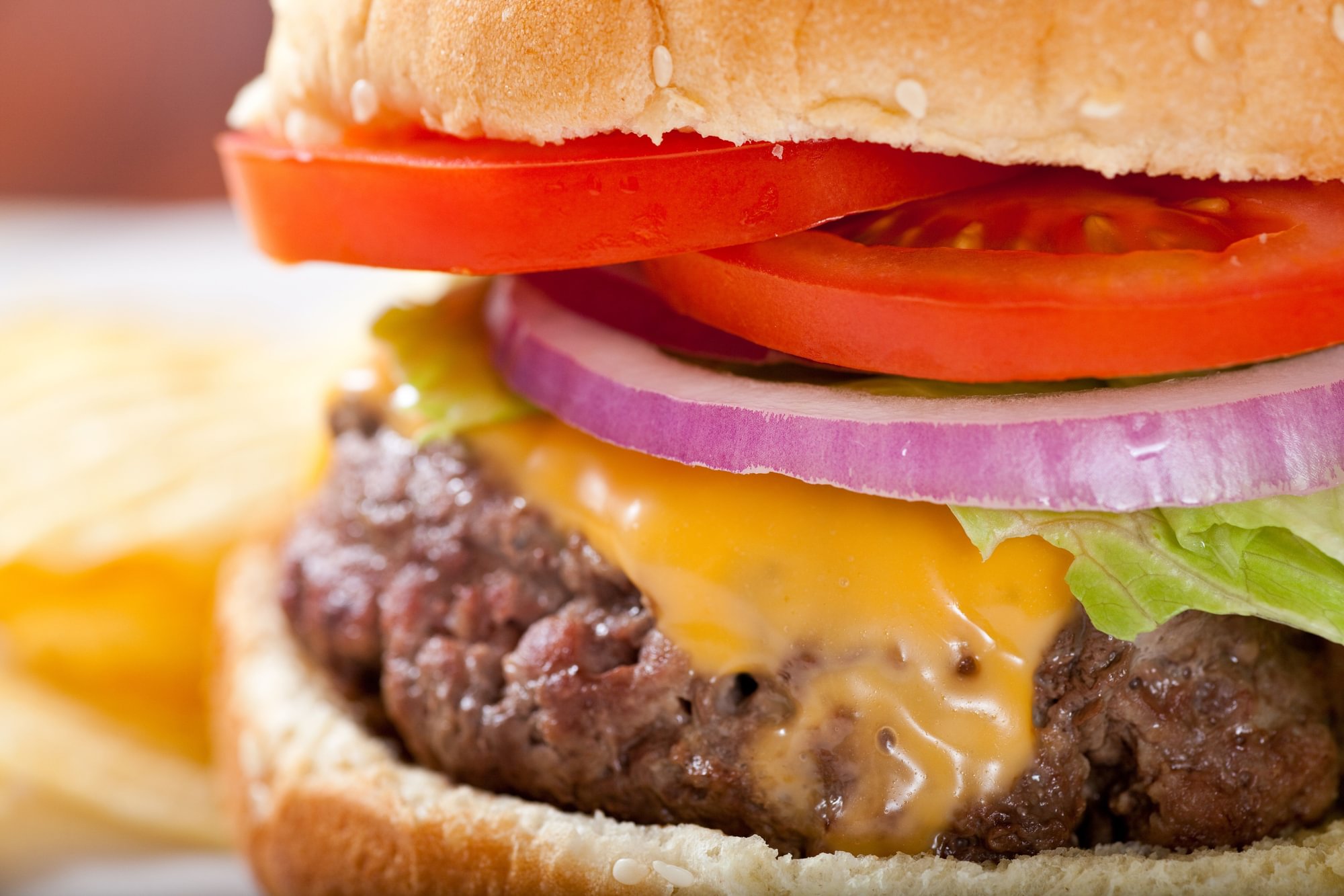 Cheese Burger