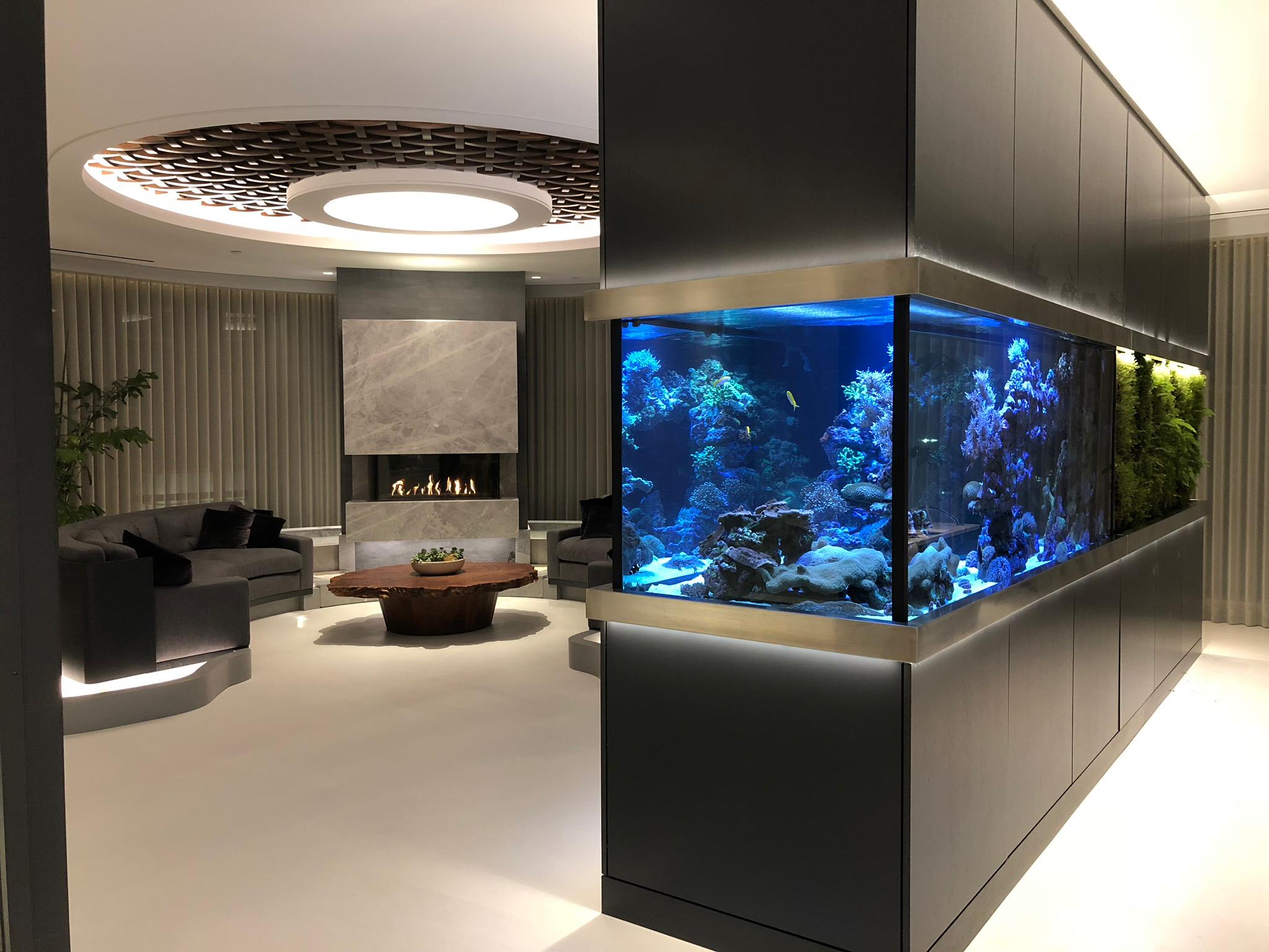 Something Fishy, Inc. Image