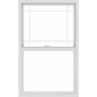 100 Series Windows