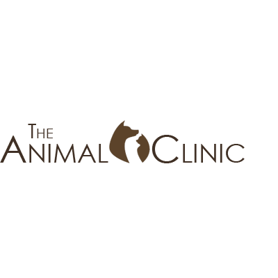 The Animal Clinic Photo