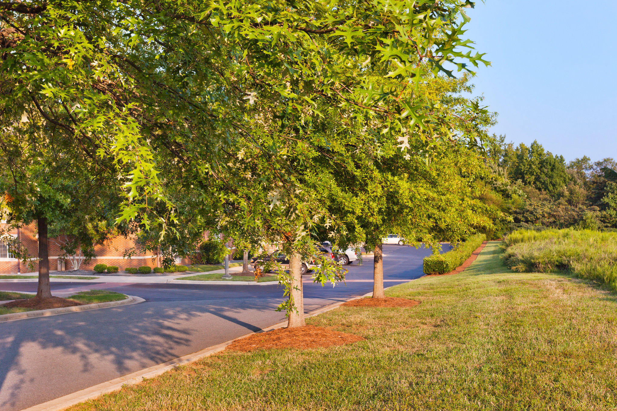 Candlewood Suites Charlotte-University Photo