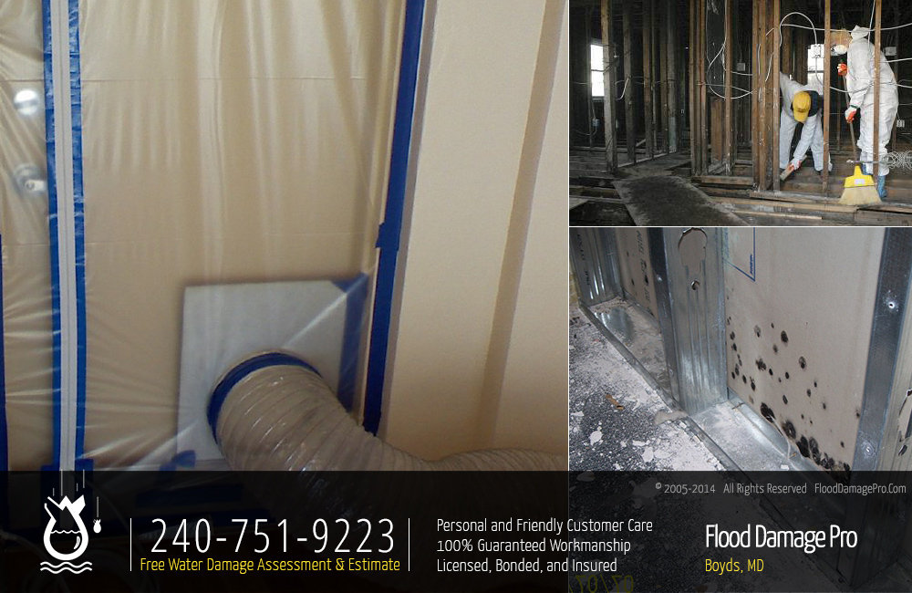 Flood Damage Pro Photo