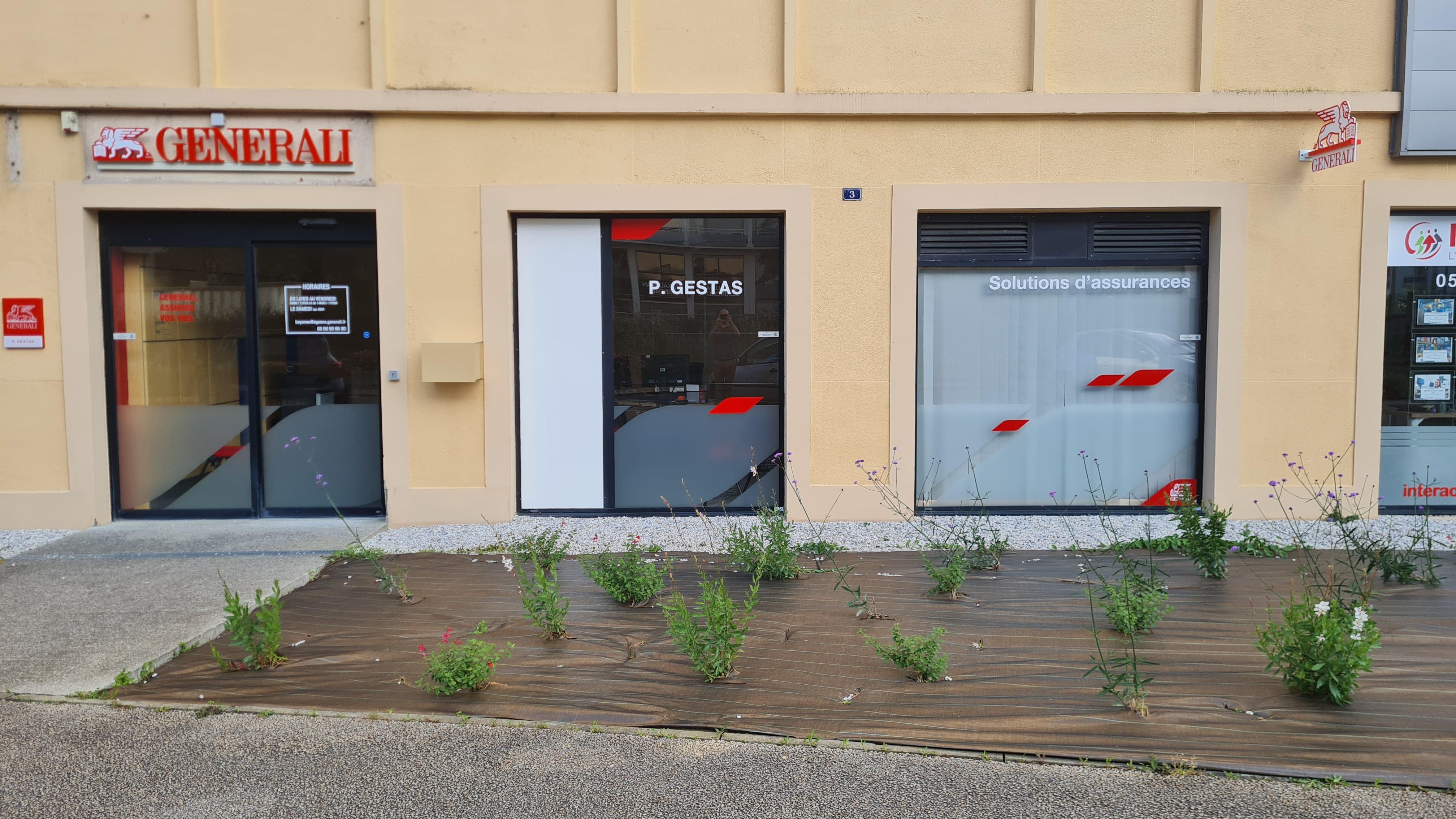 Miniature de la galerie