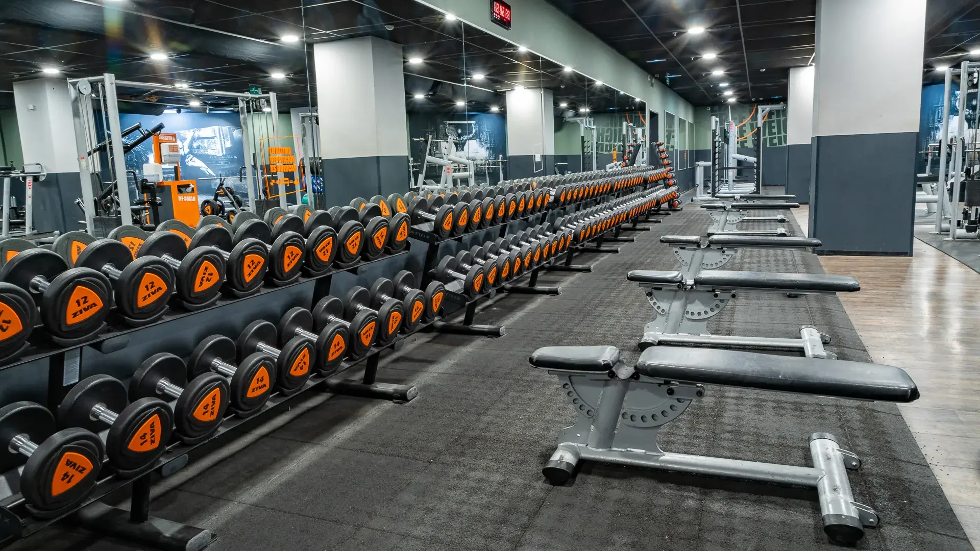 Galería en miniatura