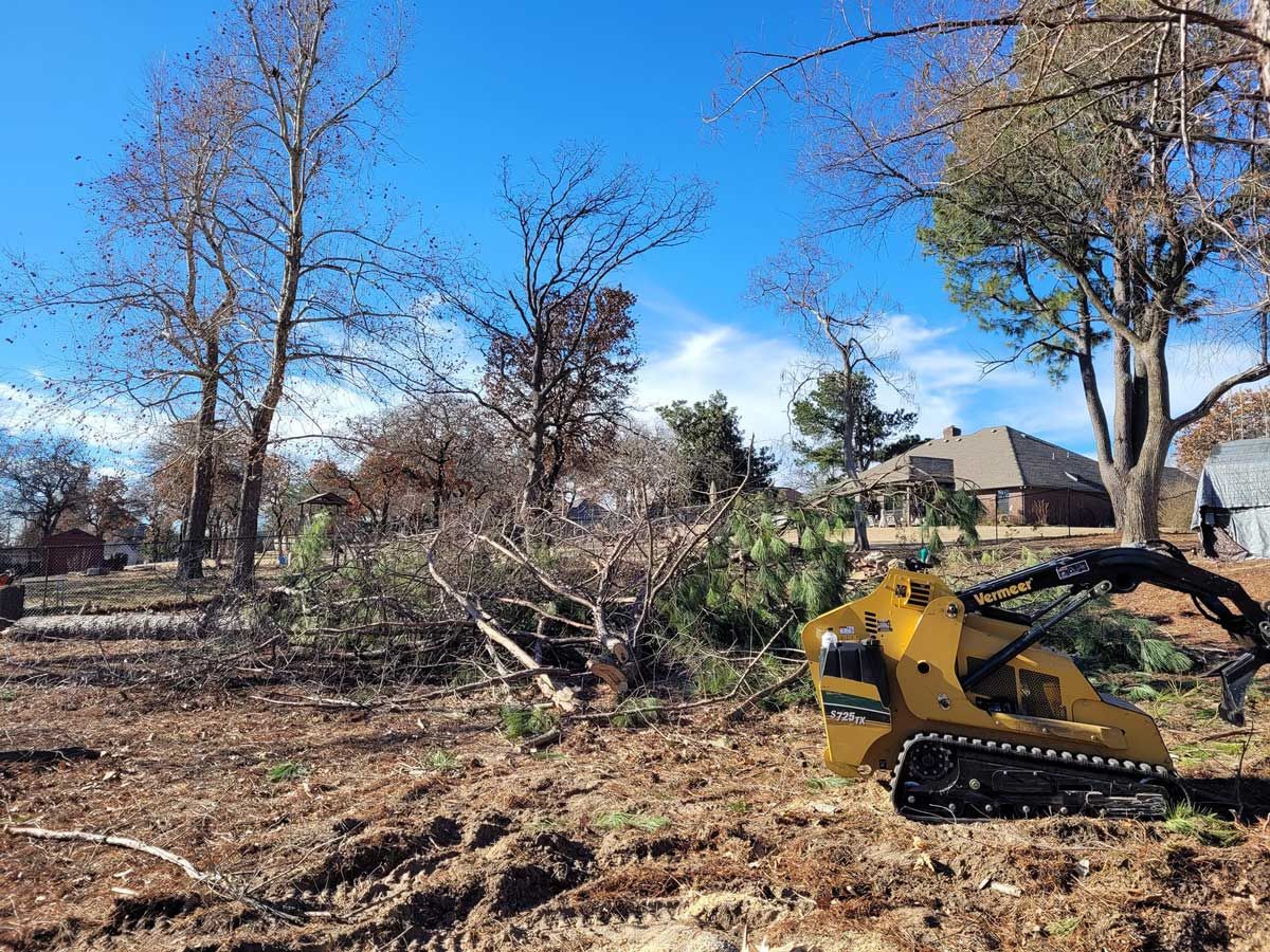 Slawson's Tree Service, Owner George Slawson Image