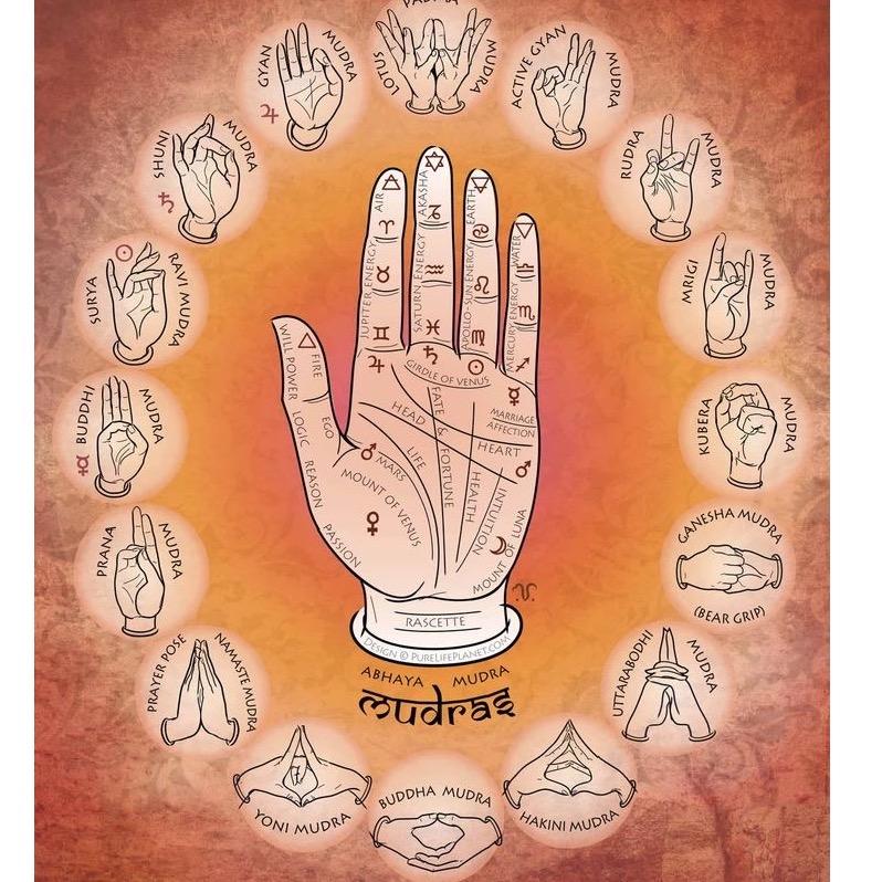 Psychic Reader & Palm Reader Healer Astrologer