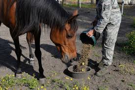 Protein Feeds