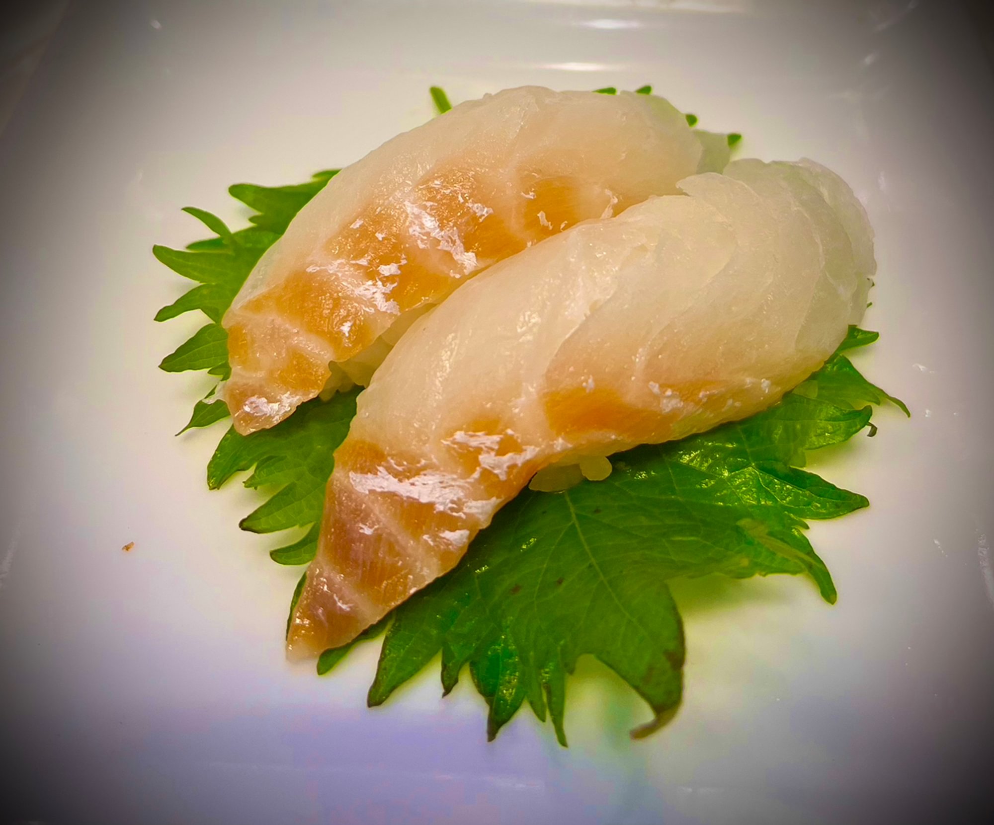 Red Snapper