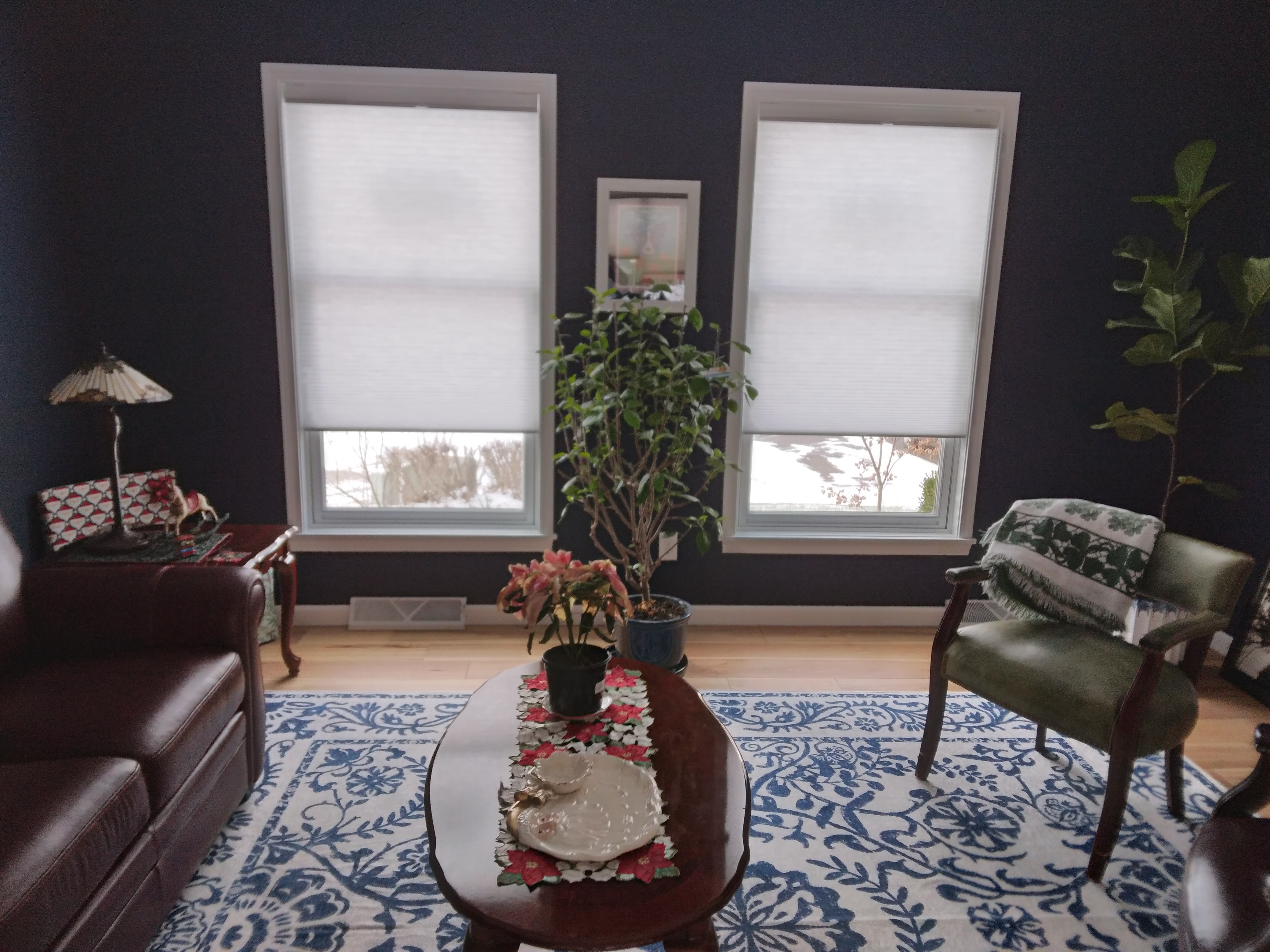 Light filtering, cordless, top-down-bottom-up cellular shade in Springfield Illinois living room.  BudgetBlinds  WindowCoverings  Shades  CellularShades