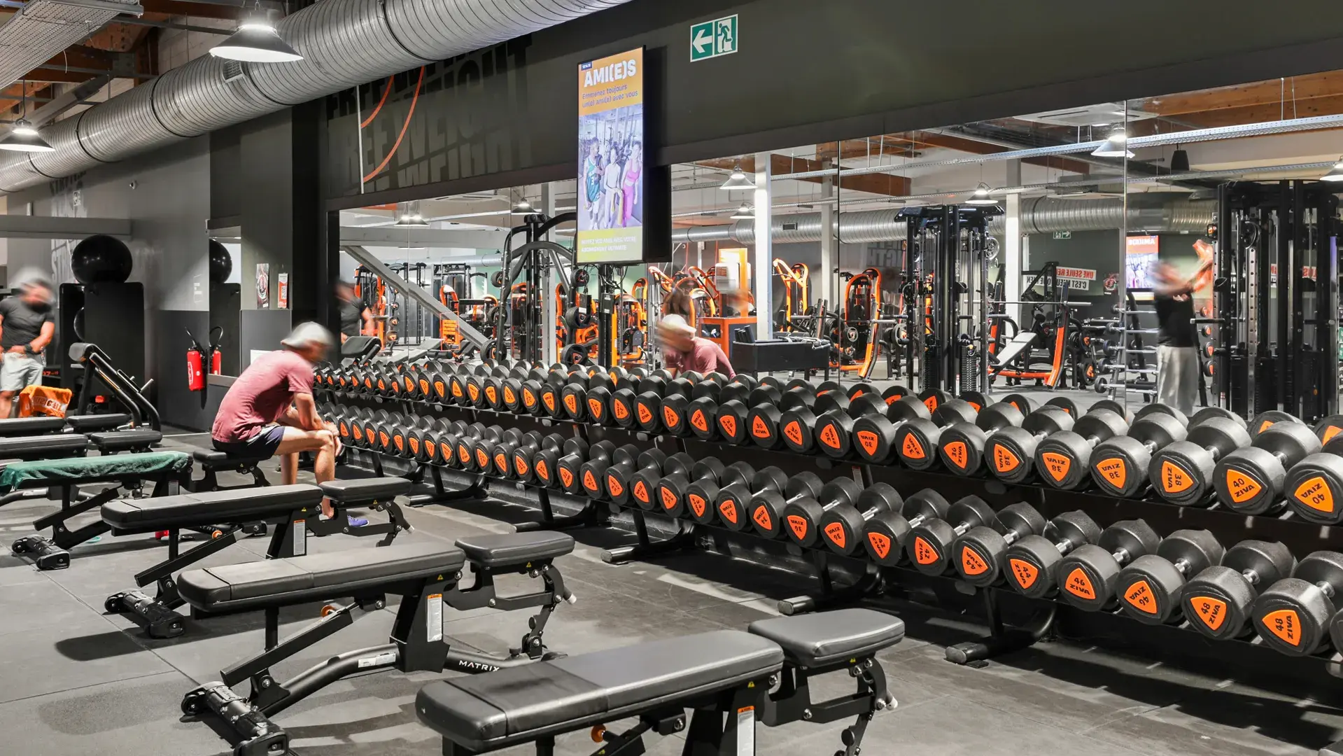 Miniature de la galerie