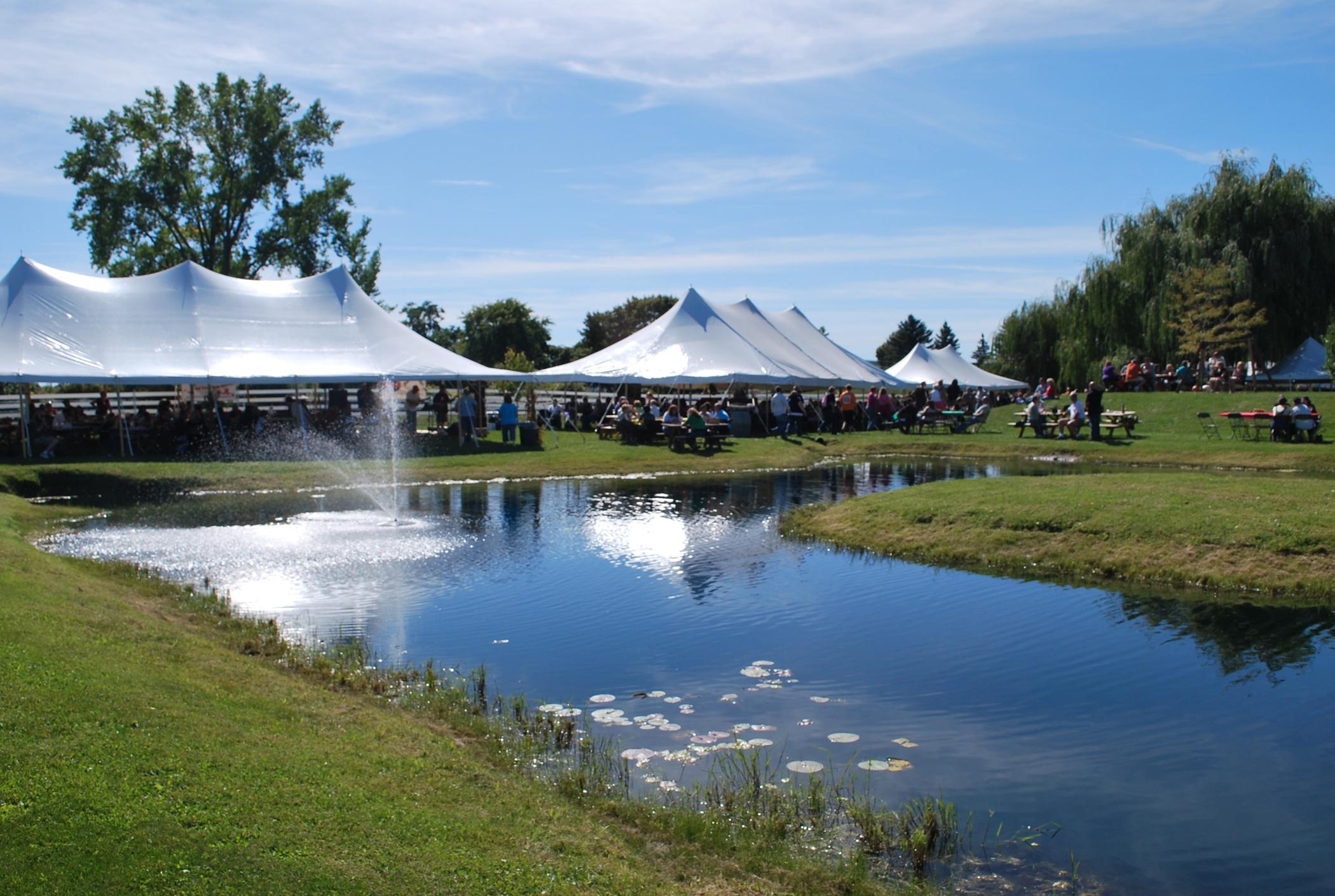 Hazlitt 1852 Vineyards Image
