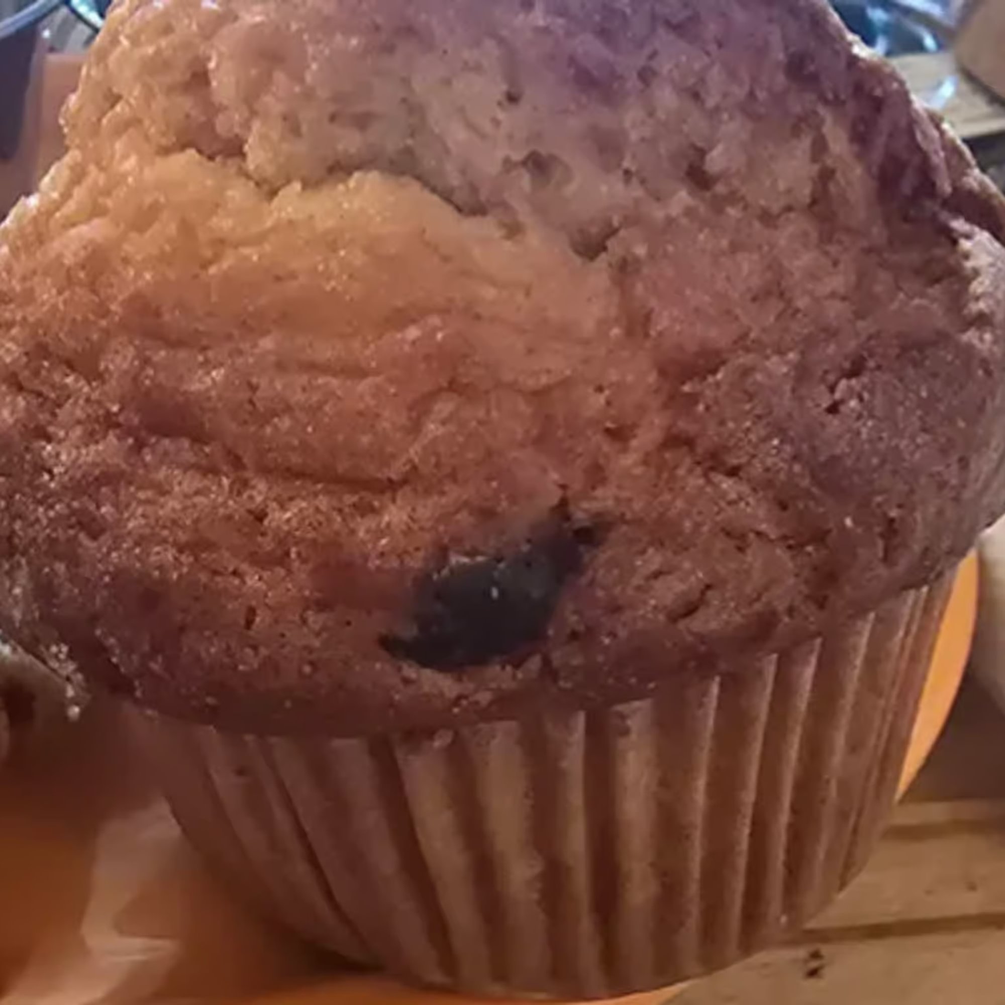 Pumpkin Chocolate Chip
