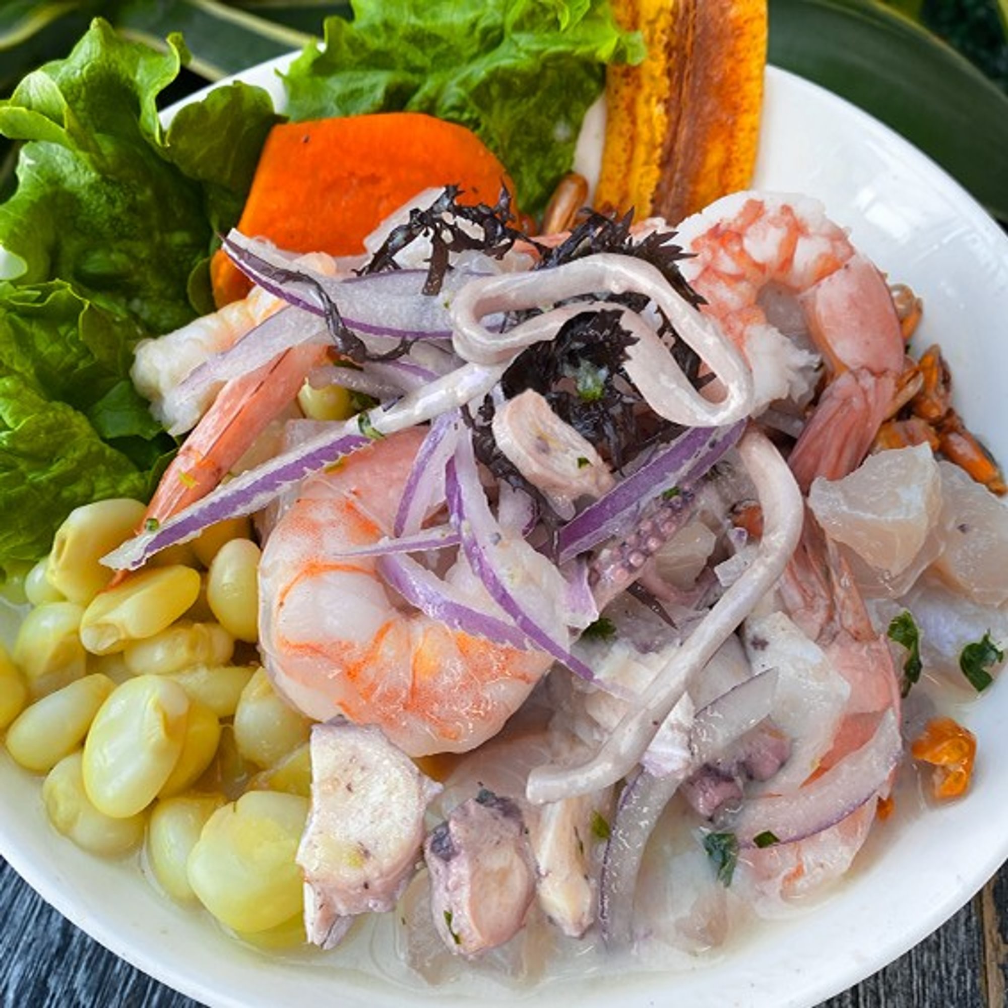Ceviche Mixto / Mixed
