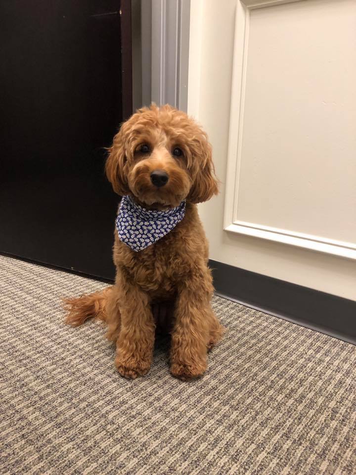 Mountain Shadows Family Dental Image