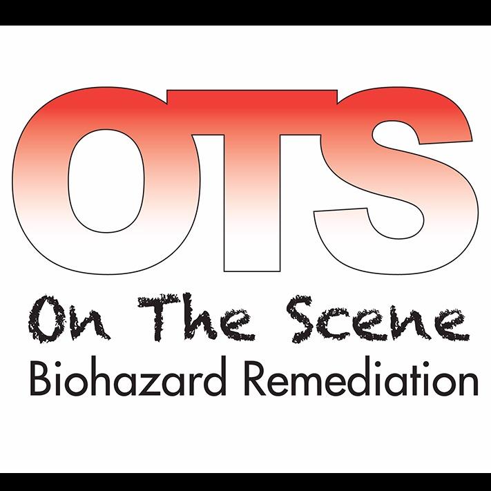 On The Scene LLC Logo