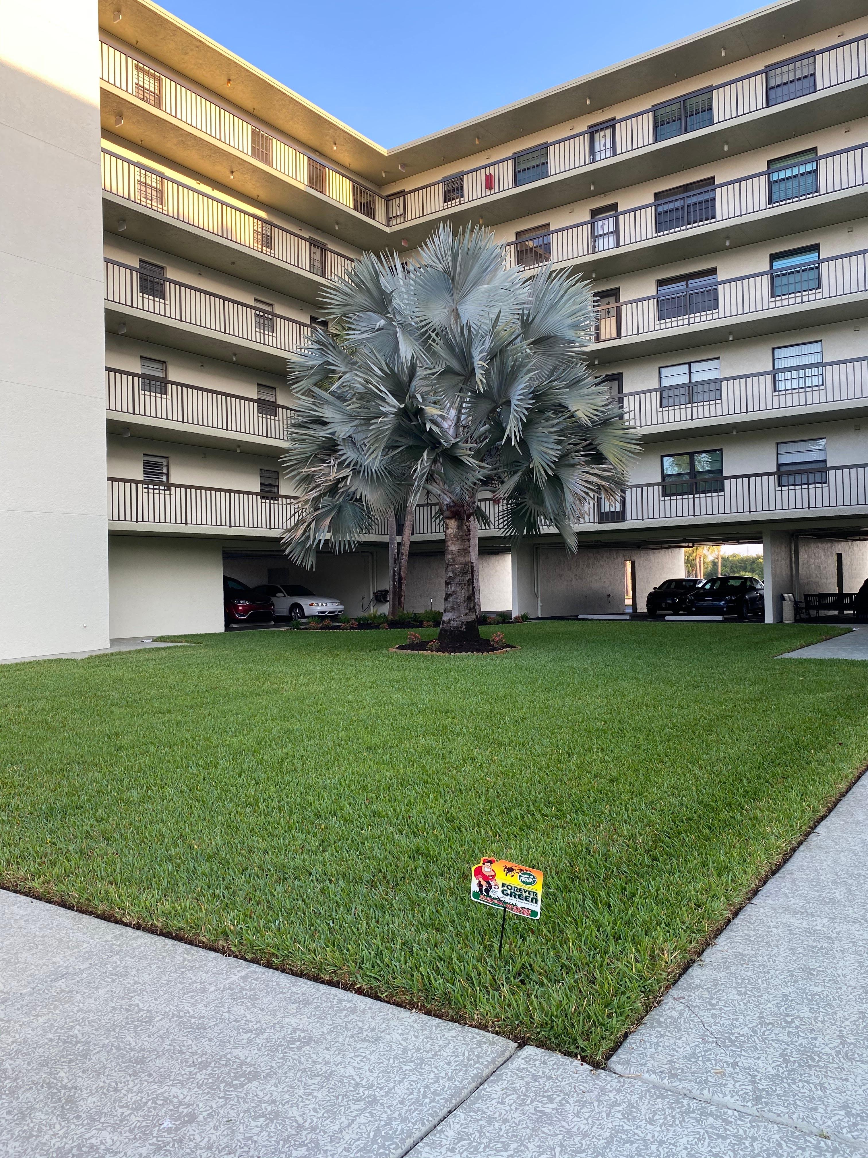 Forever Green Lawn and Pest Control Image