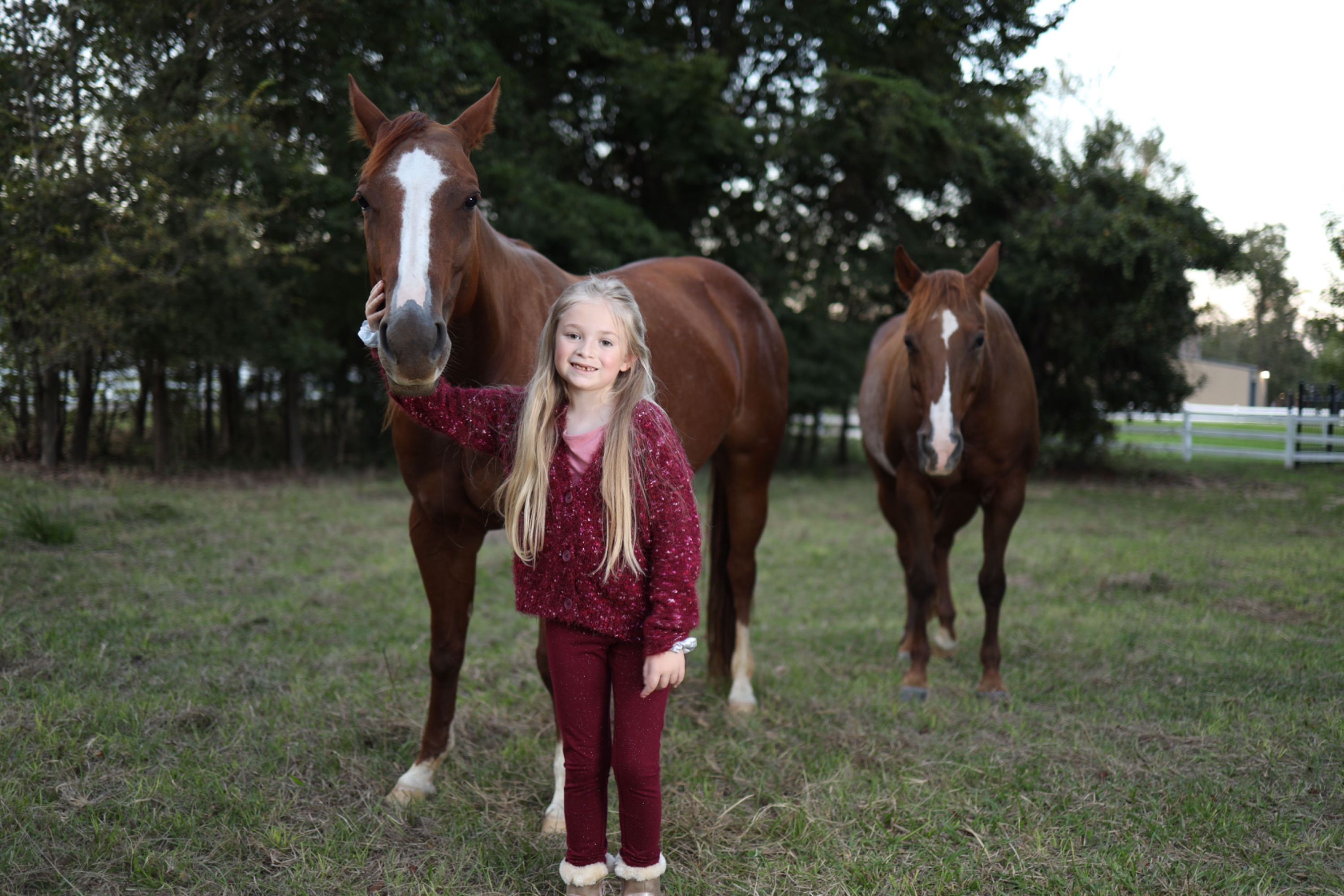 CTG Horse, LLC Image