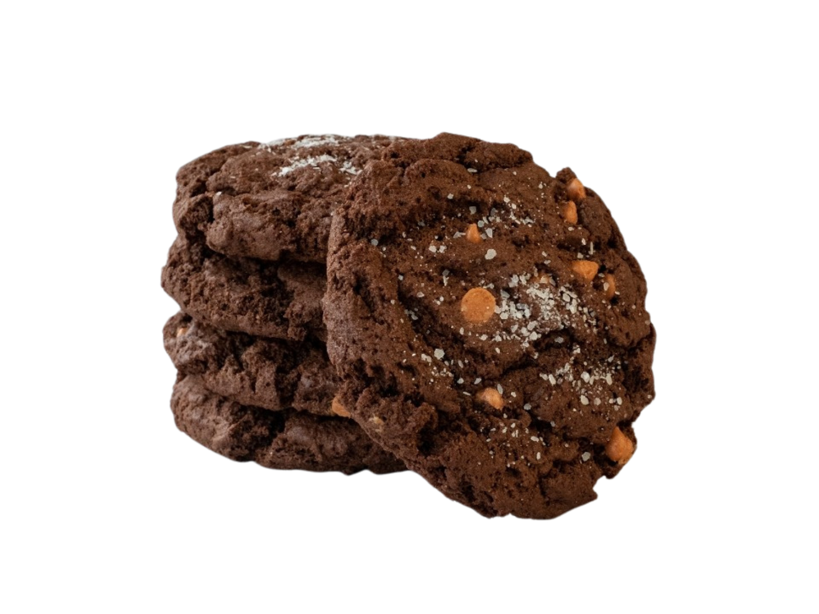 Chocolate Caramel Sea Salt Cookie