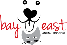 Bay East Animal Hospital