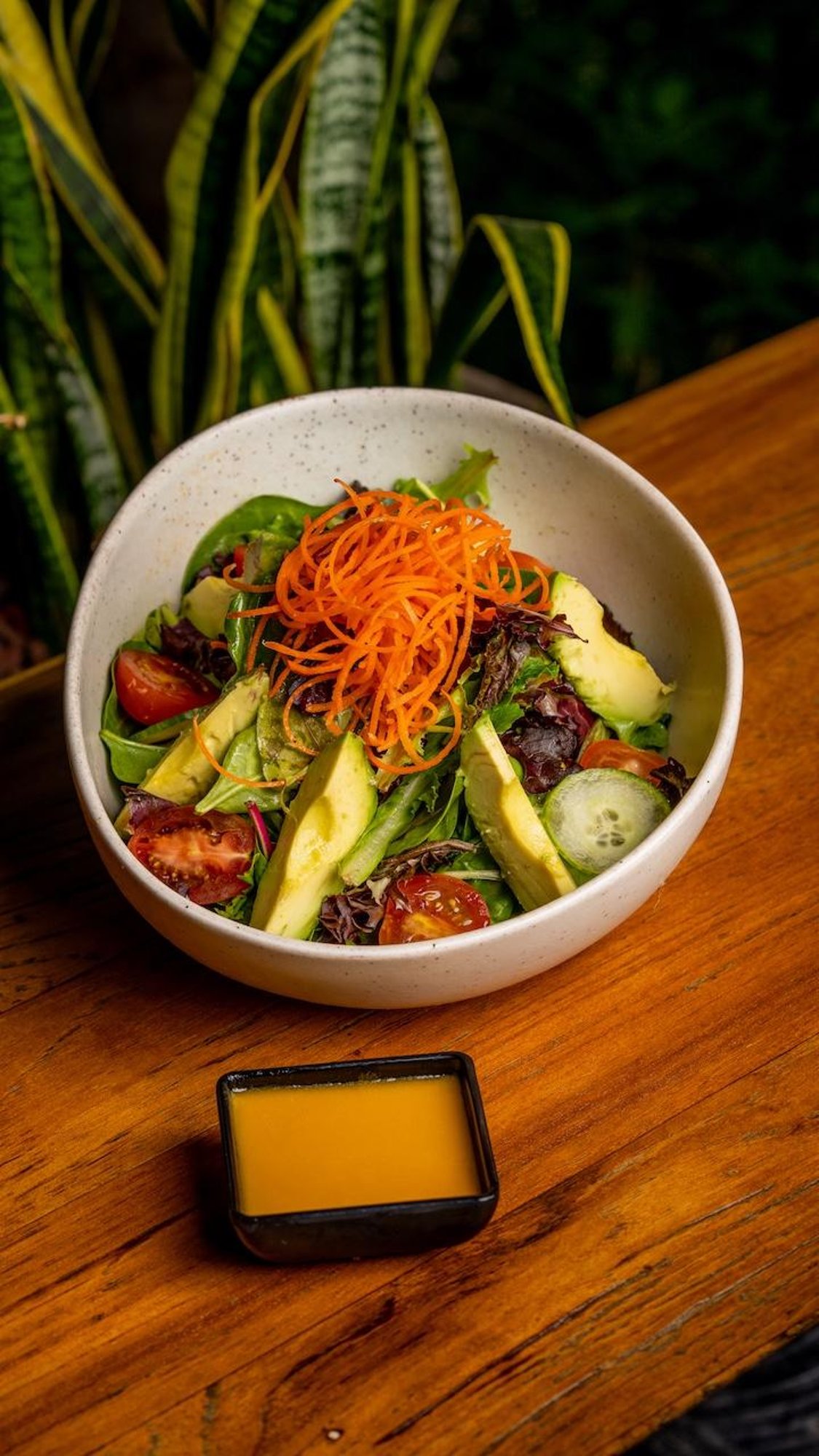 Tanuki Salad