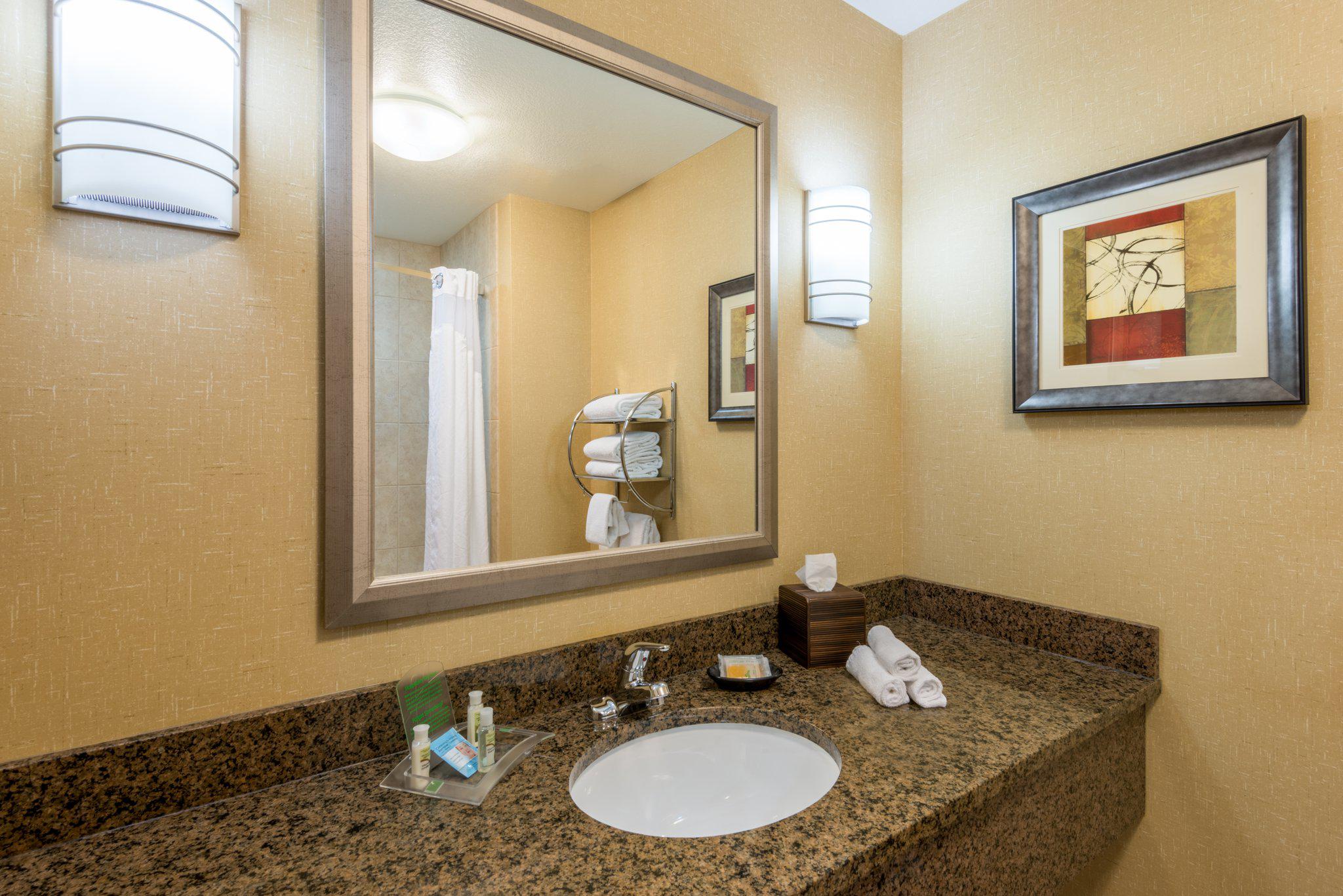 Holiday Inn & Suites Grand Junction-Airport Photo