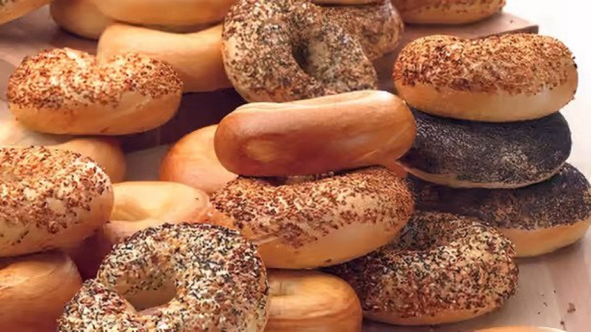 DOZEN Bagels (12)