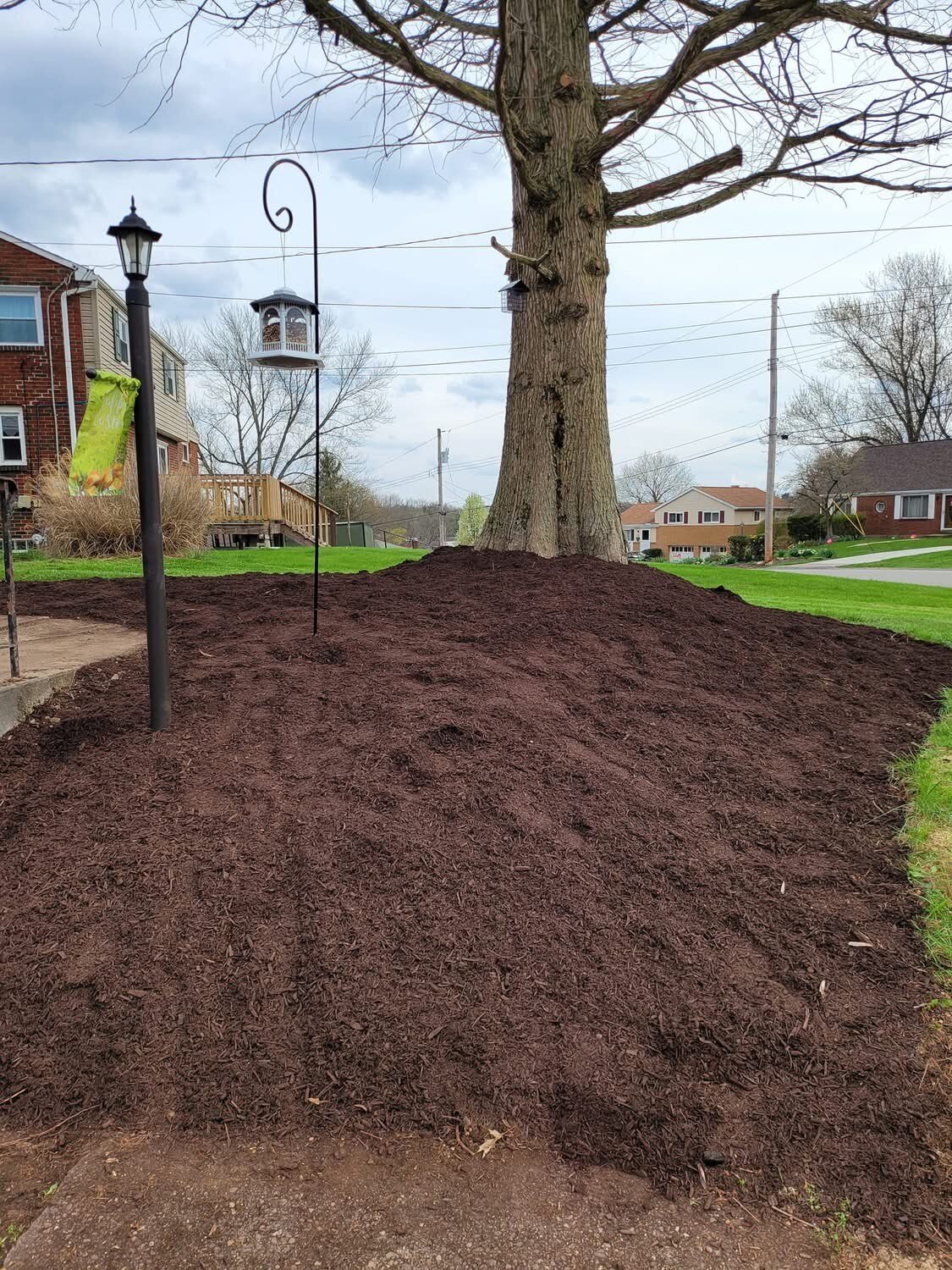 Gabriel Landscaping Image