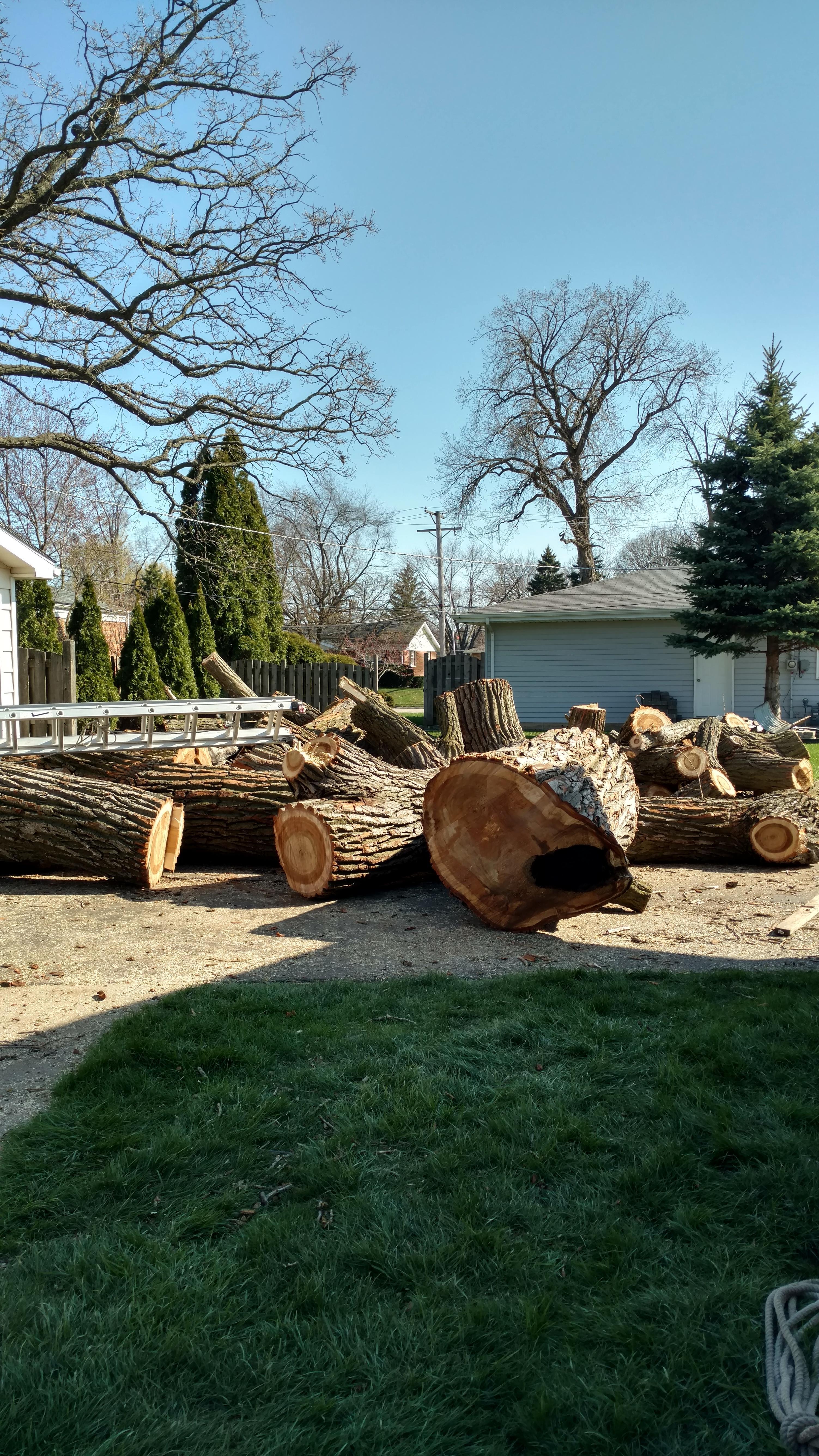 New Beginning Tree Service Company Image