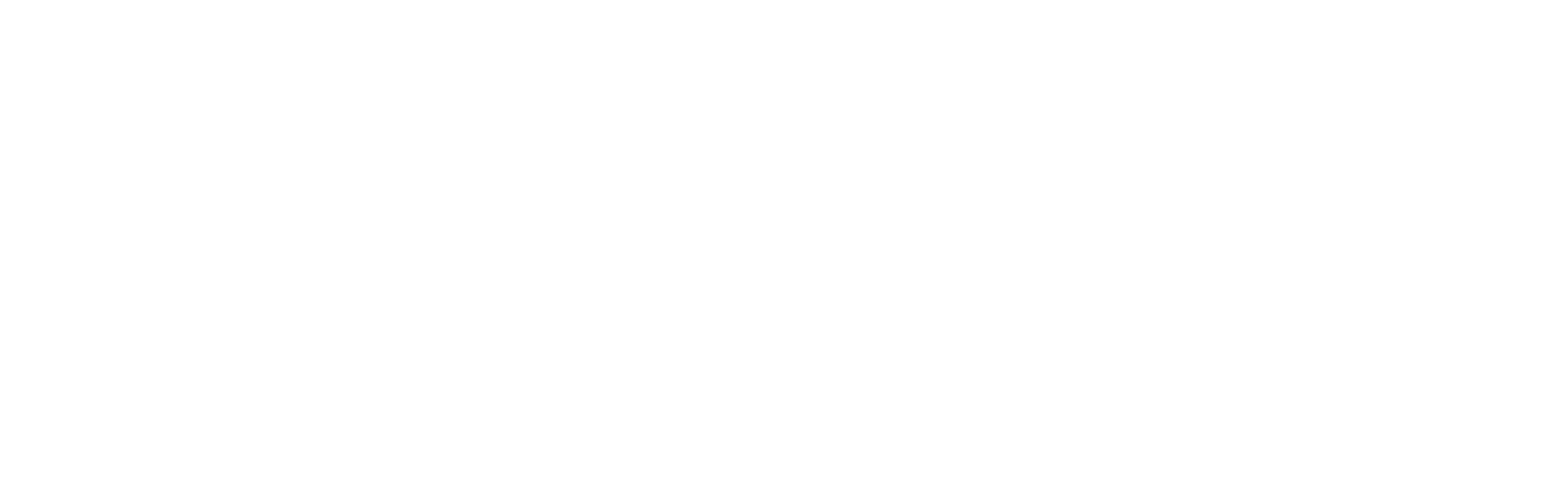 bluefrog of Denver footer logo