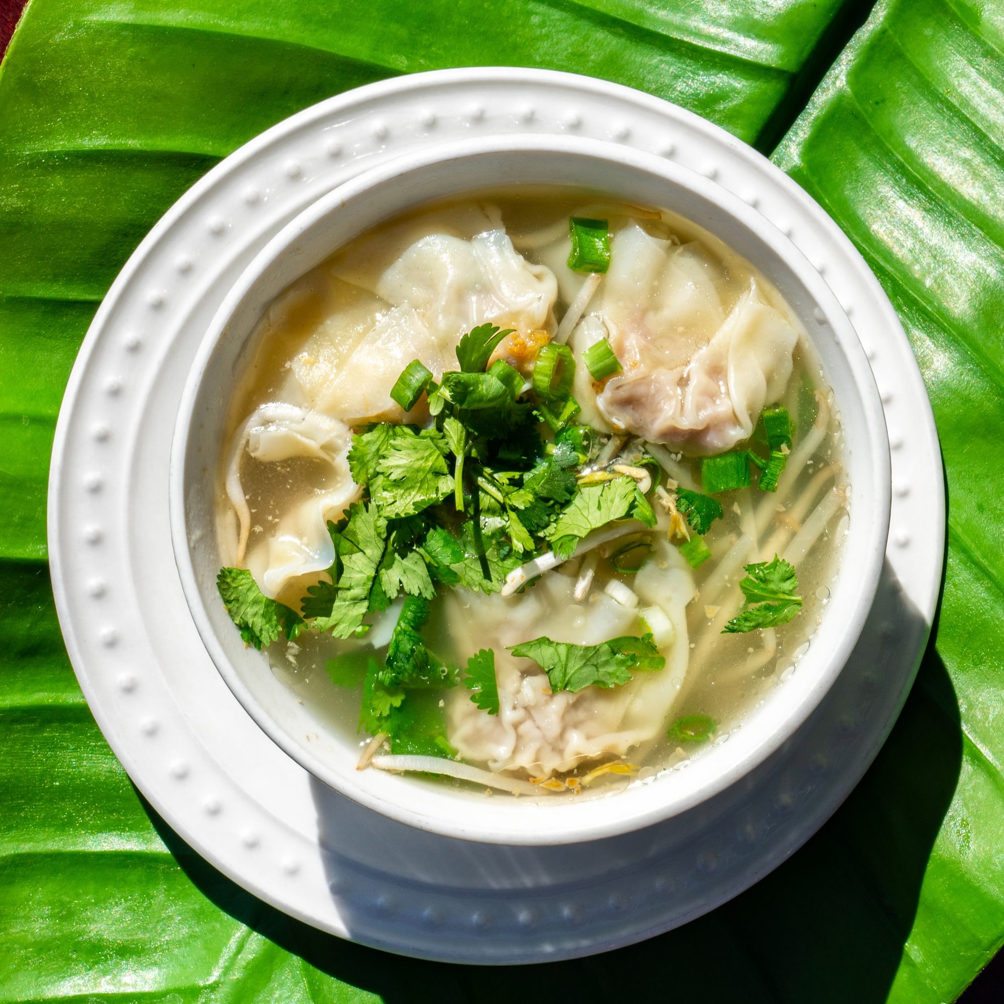 Wonton Soup