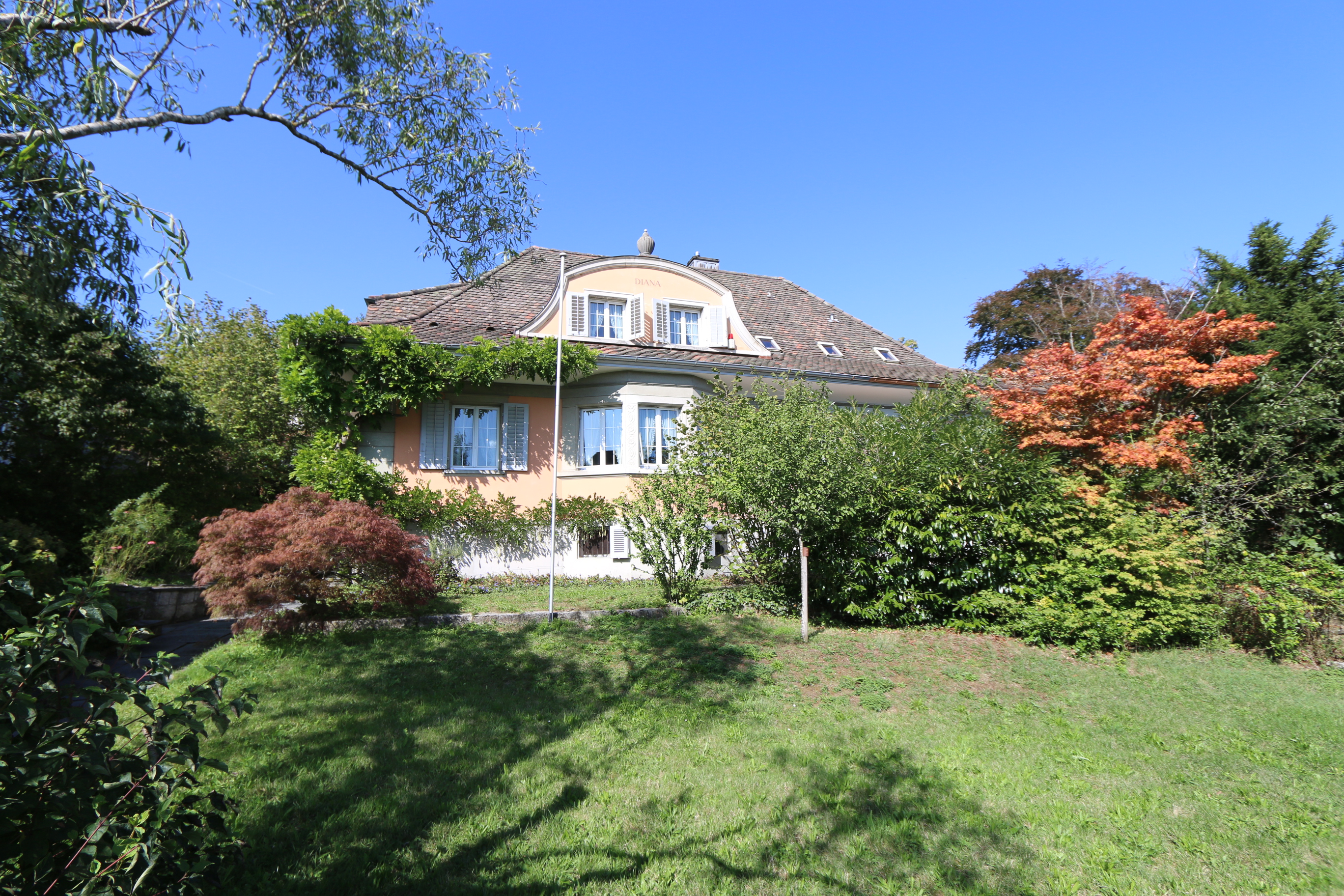Galerie-Thumbnail