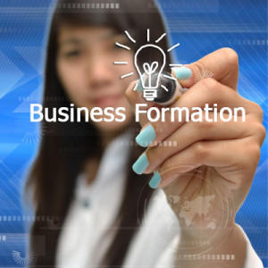 Business Formation & Incorporation