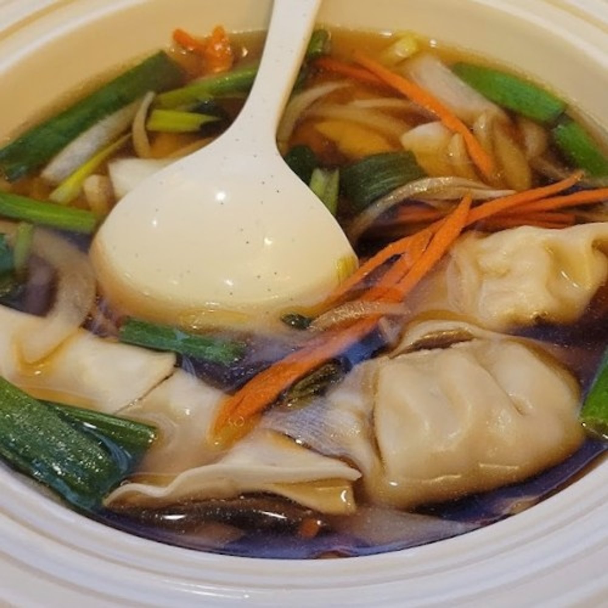 Mandoo Soup
