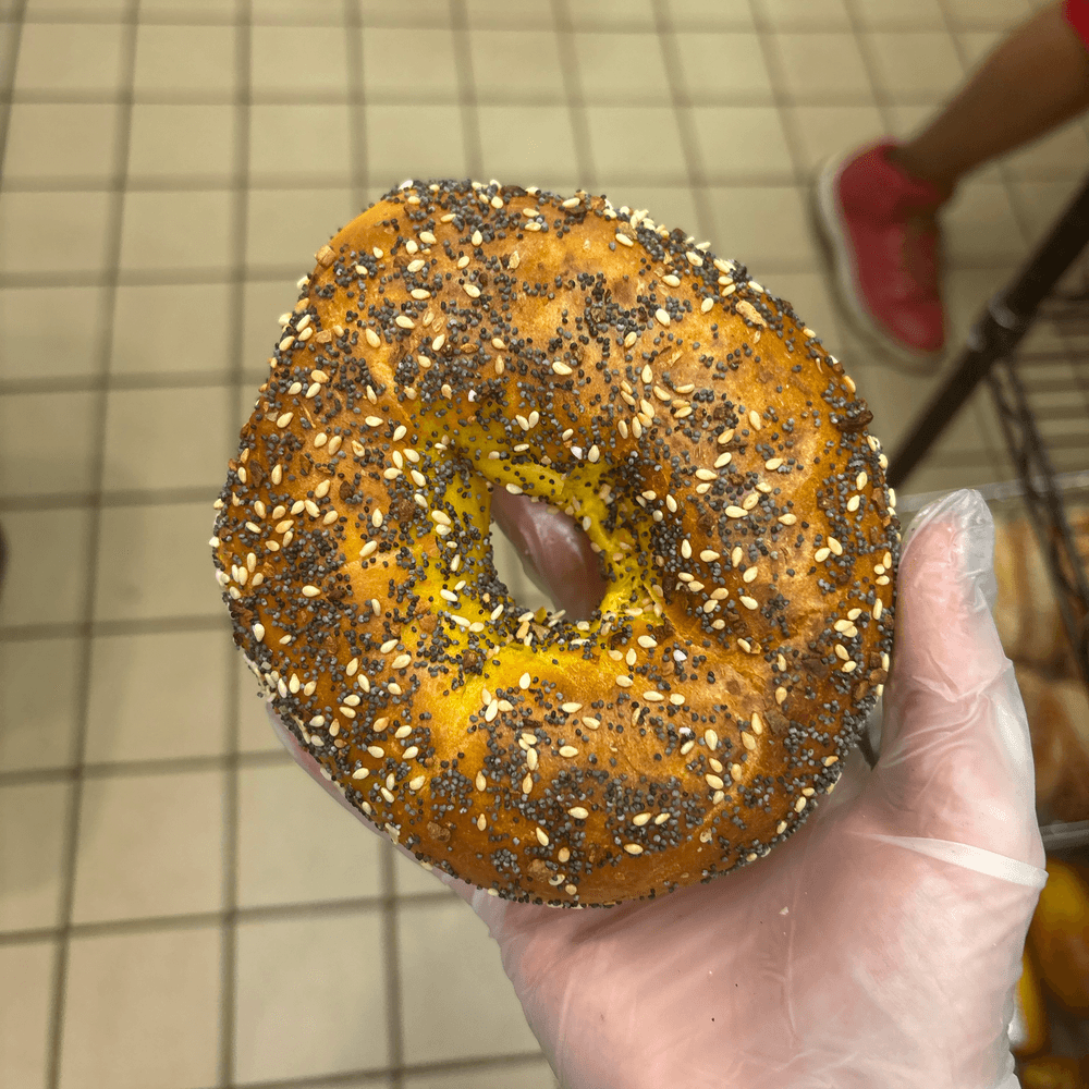 Egg Everything Bagel