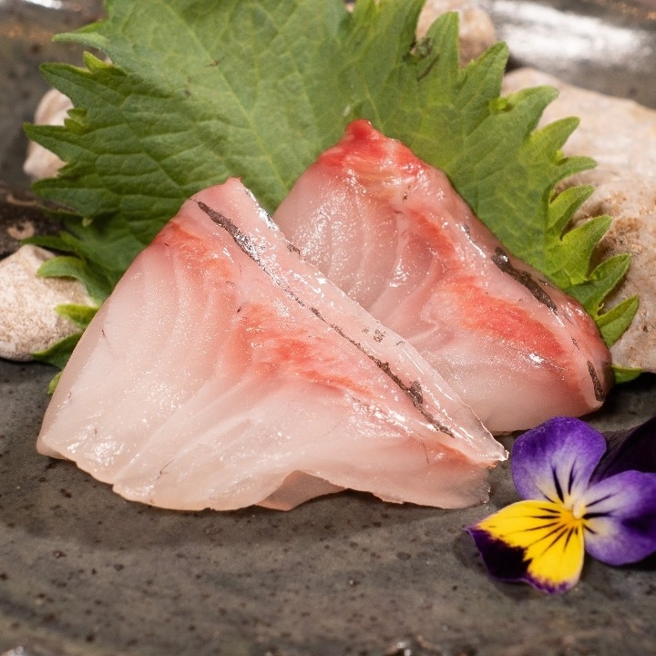 Shima Aji**