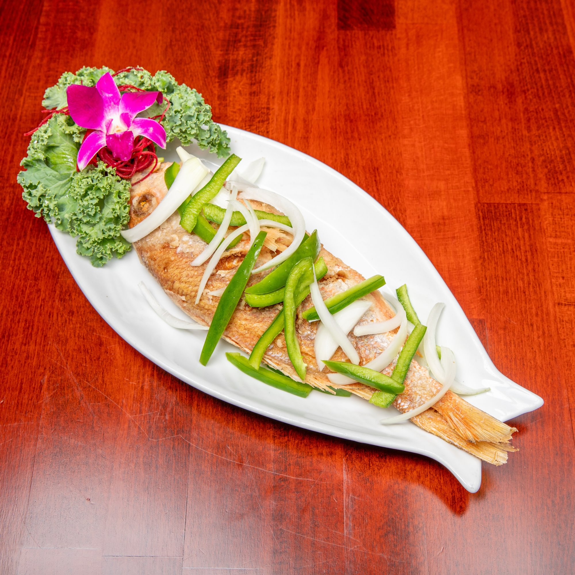 Ocean Red Snapper