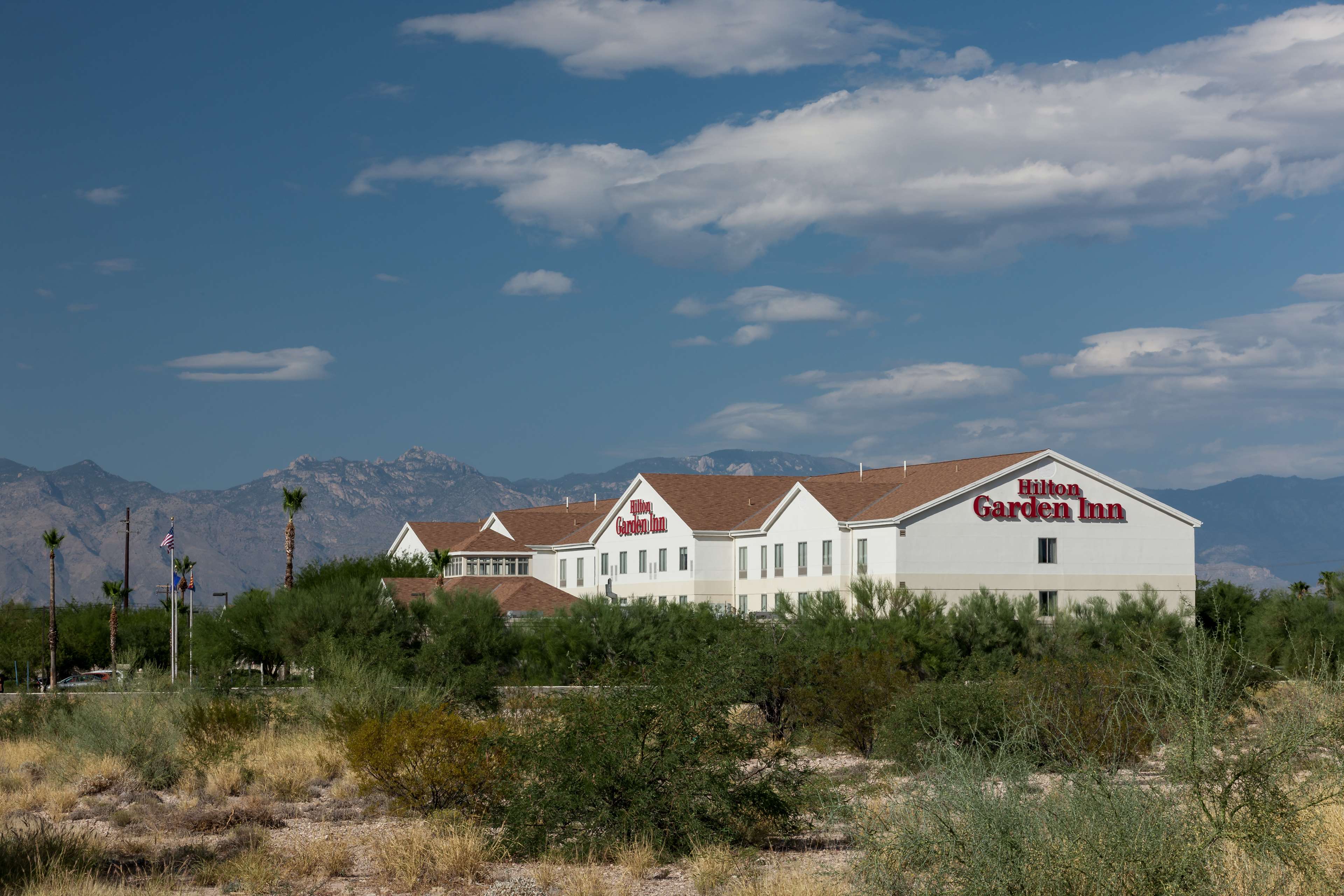 Hilton Garden Inn Tucson Airport Photo