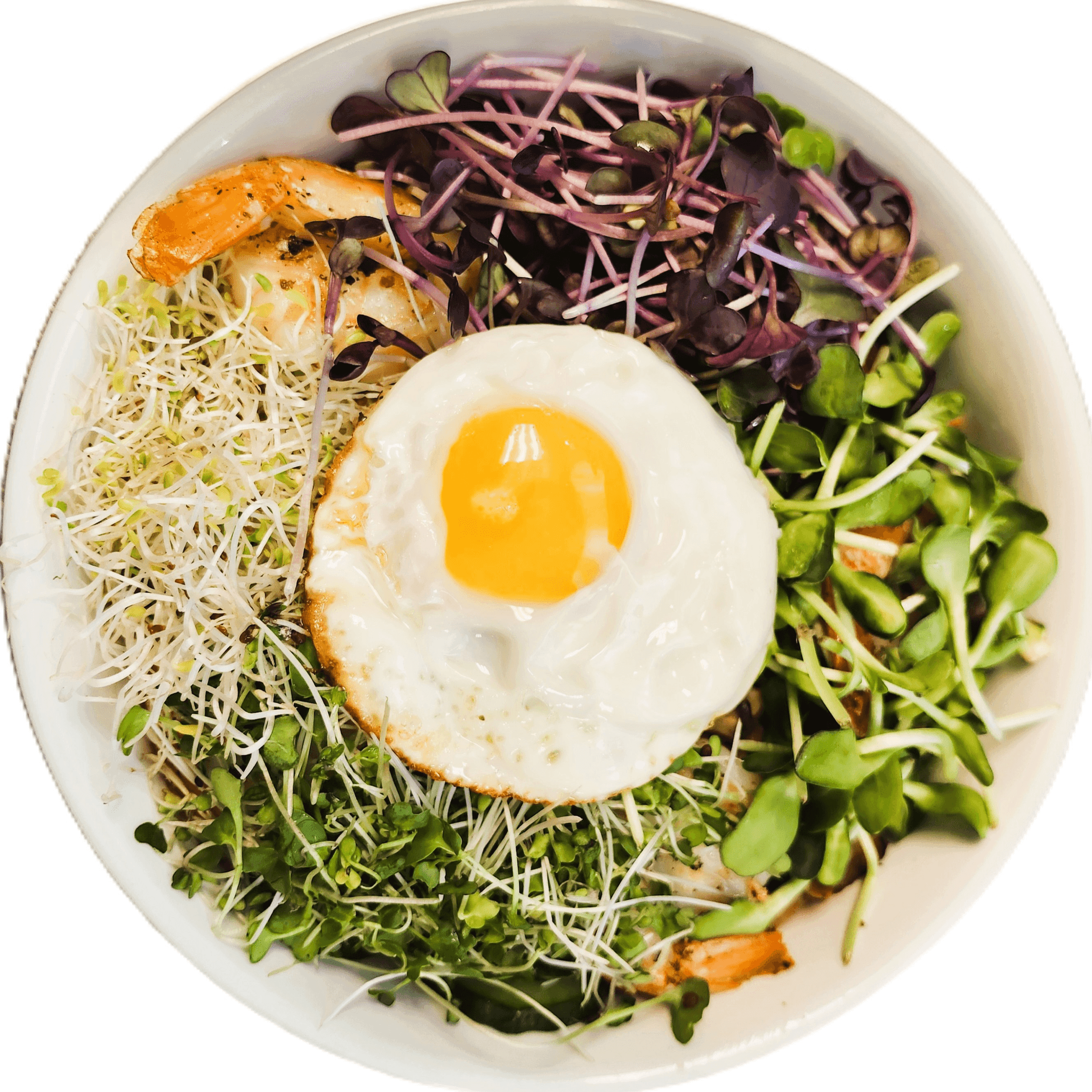 Microgreen Bibimbap