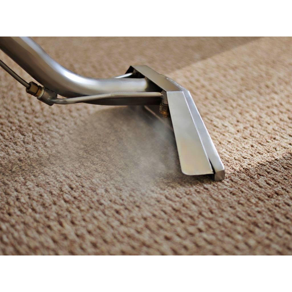 North of the Bay Carpet Care