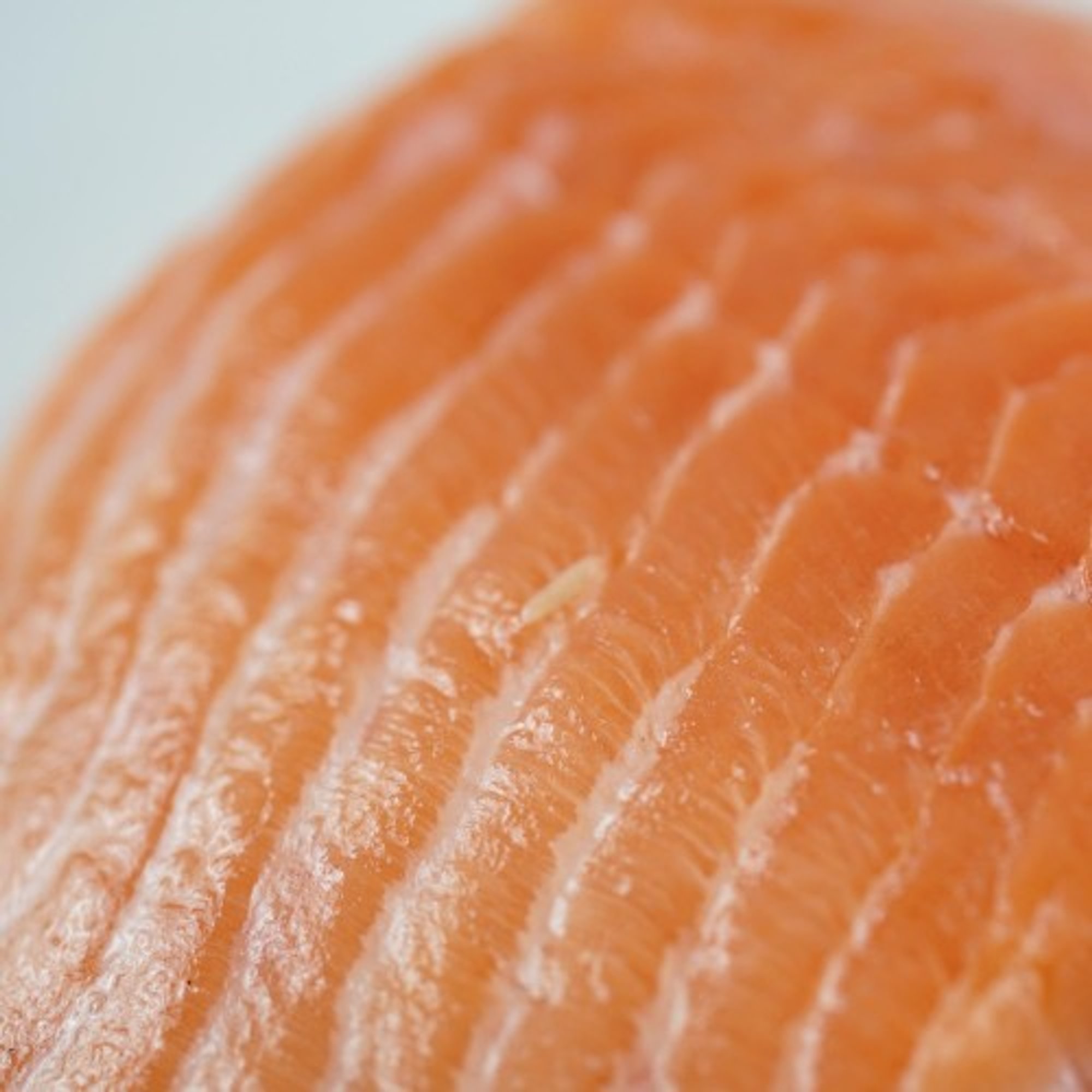 Extra Salmon