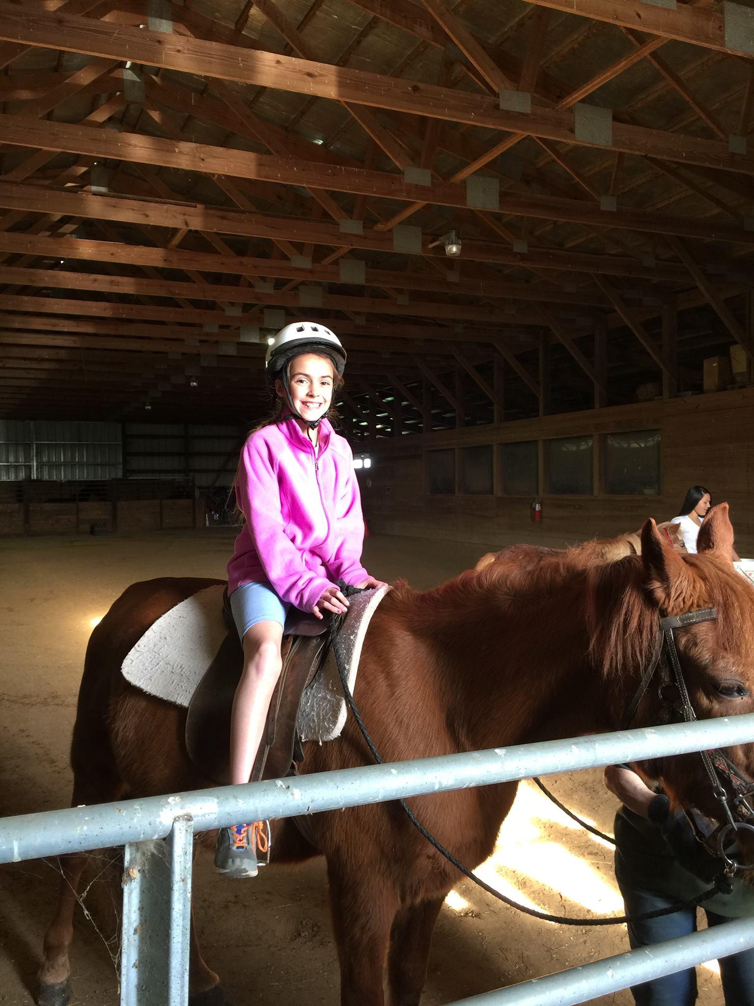 Wright-Way Equestrian Center Inc. Photo