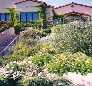 Actual Art Landscape Design Logo