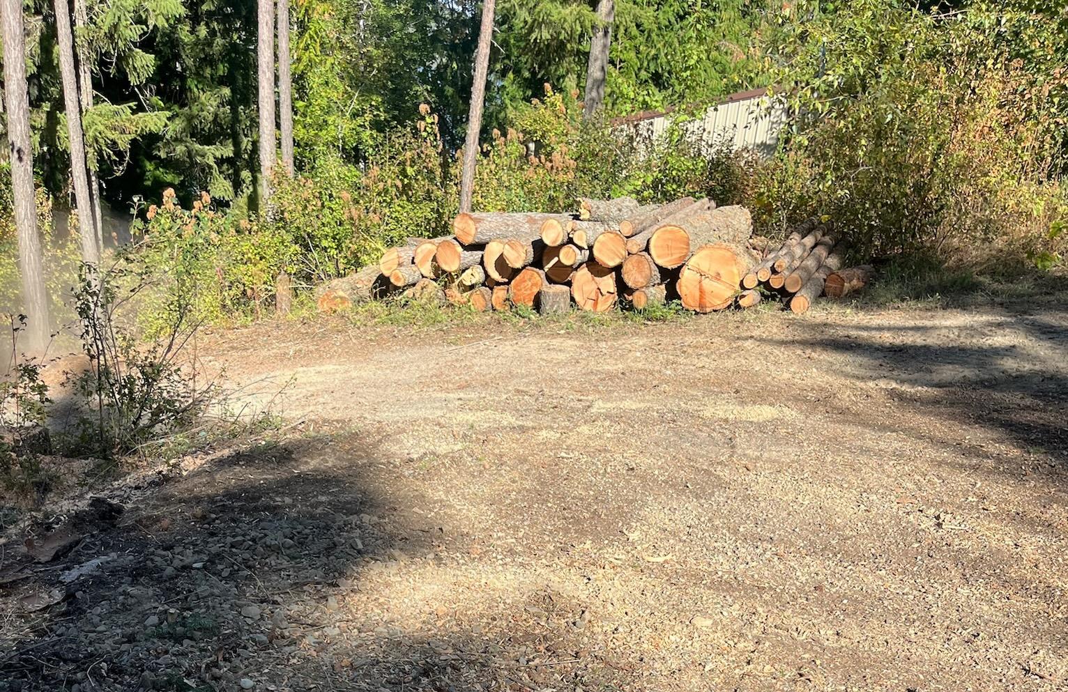 Timber Valley Tree Co. Image