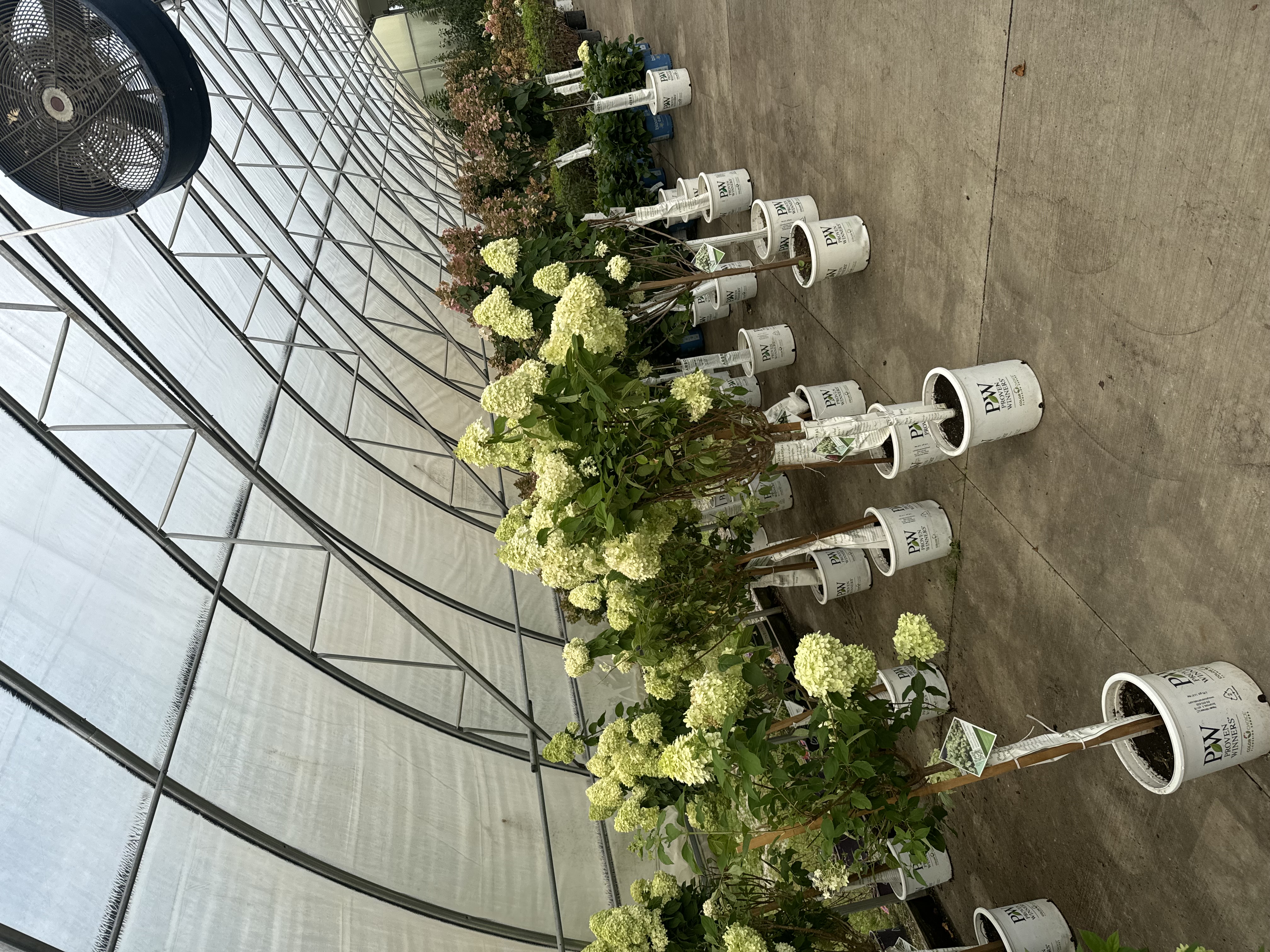 Ultimate Nursery Macomb Image