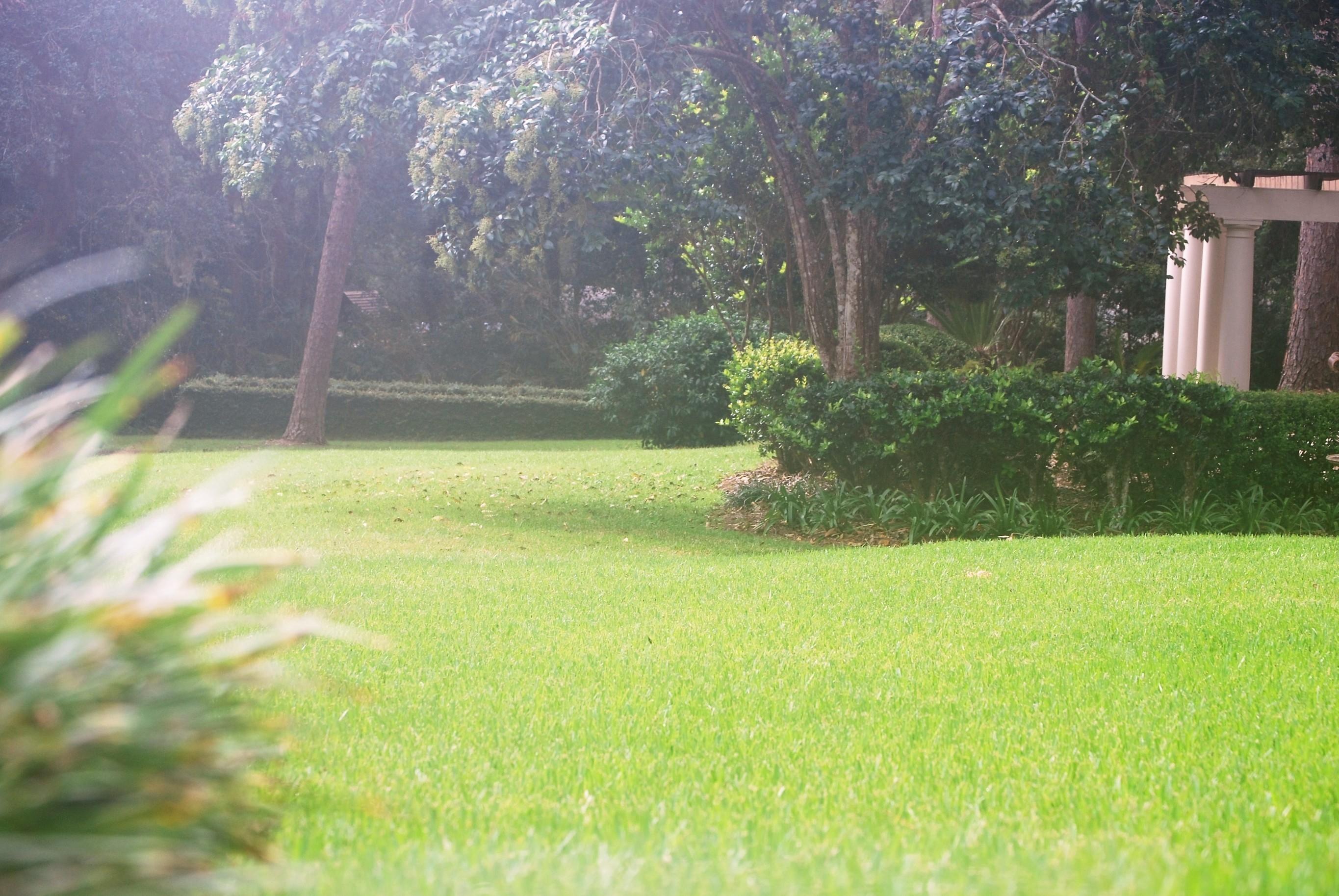 Dickerson Landscaping & Lawn Care | Tallahassee, FL Image