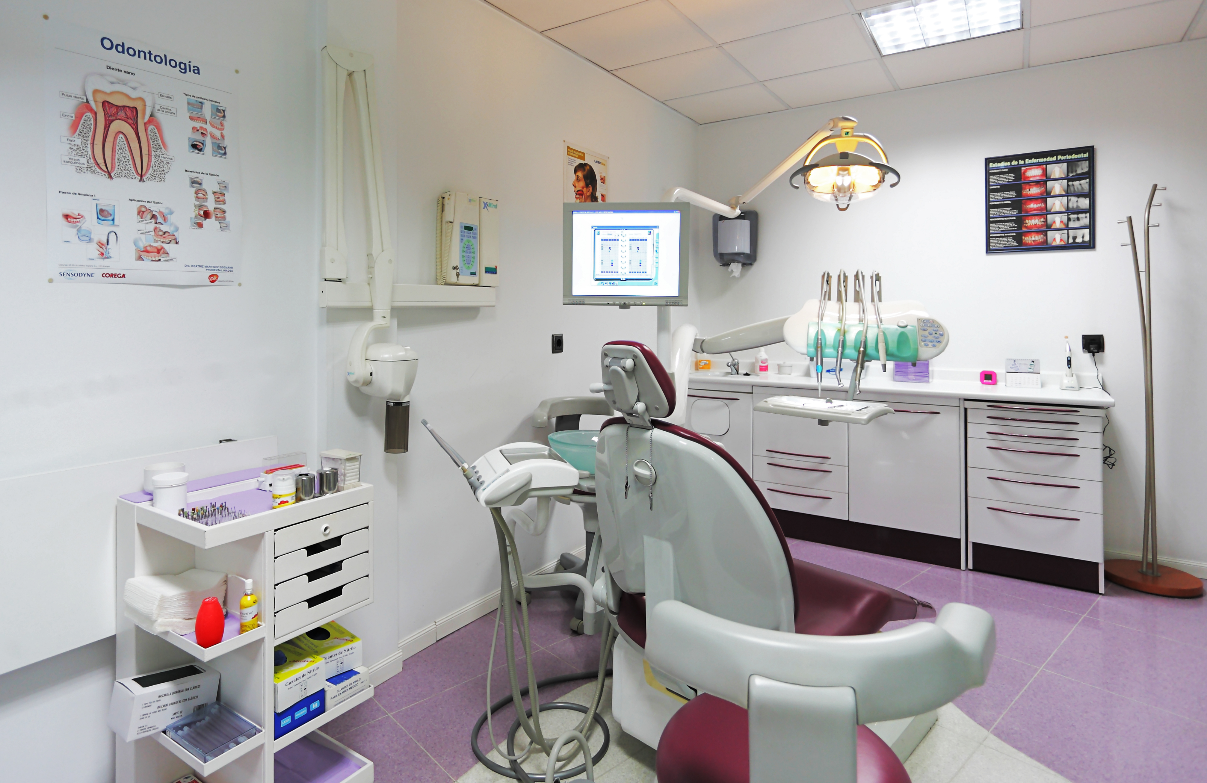 Galería en miniatura