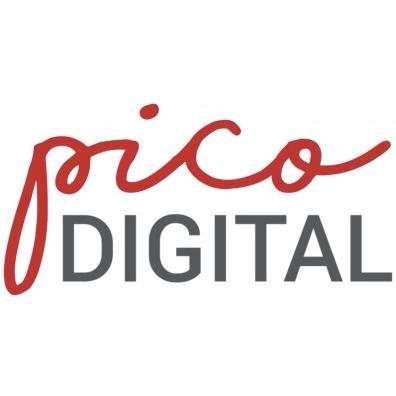 Pico Digital Marketing Photo