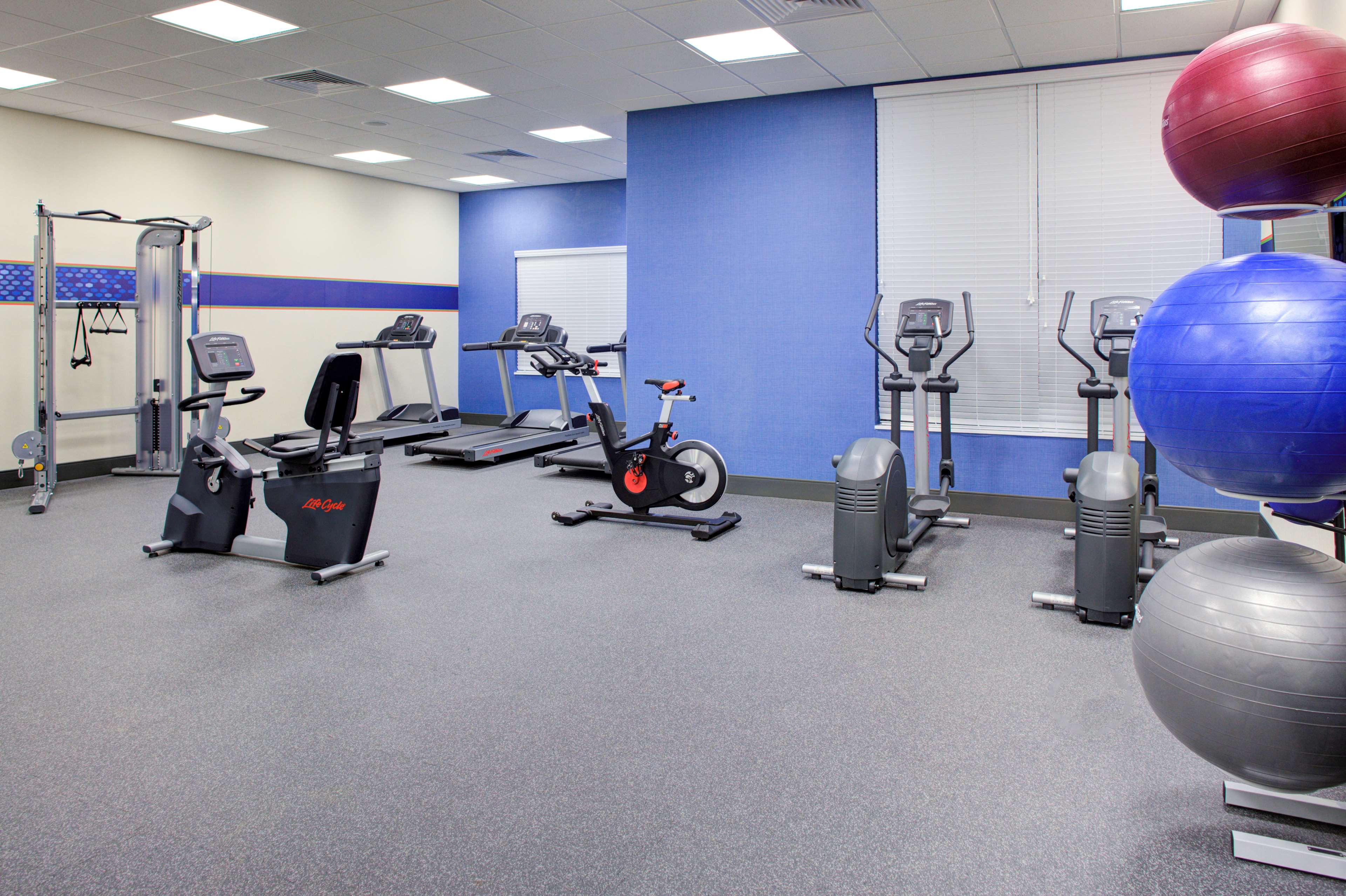 Health club  fitness center  gym