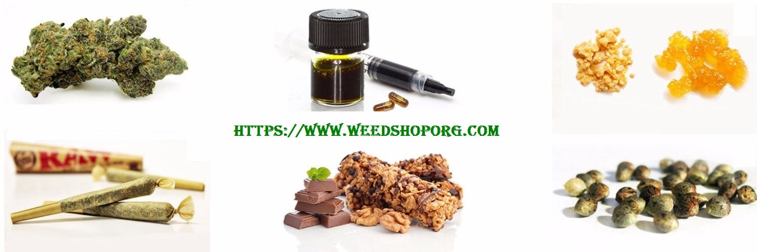 Weed Shop - Weed for Sale - Vape Store United States Photo